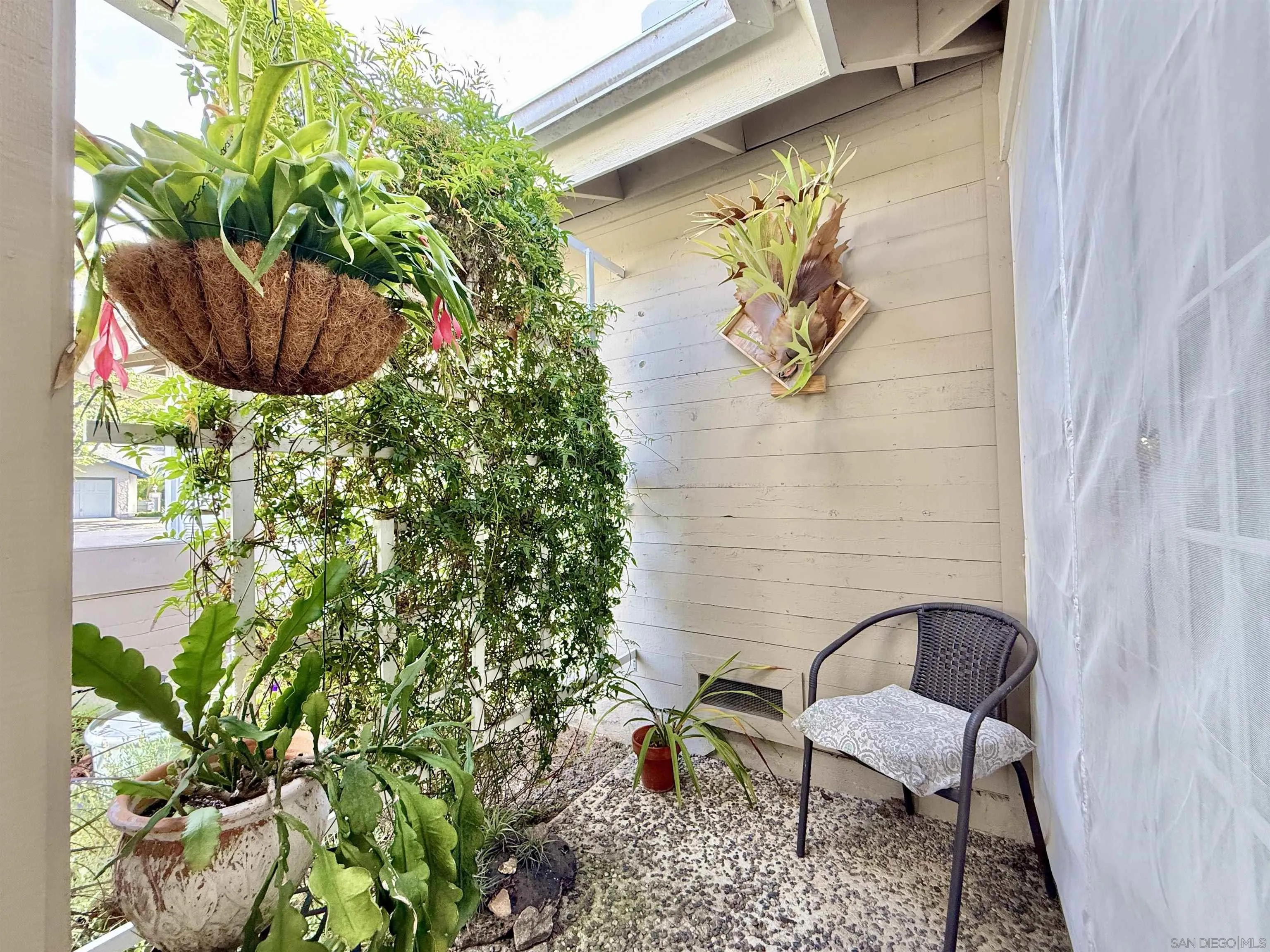 Photo #30: 250035334 Listing: Photo #30
