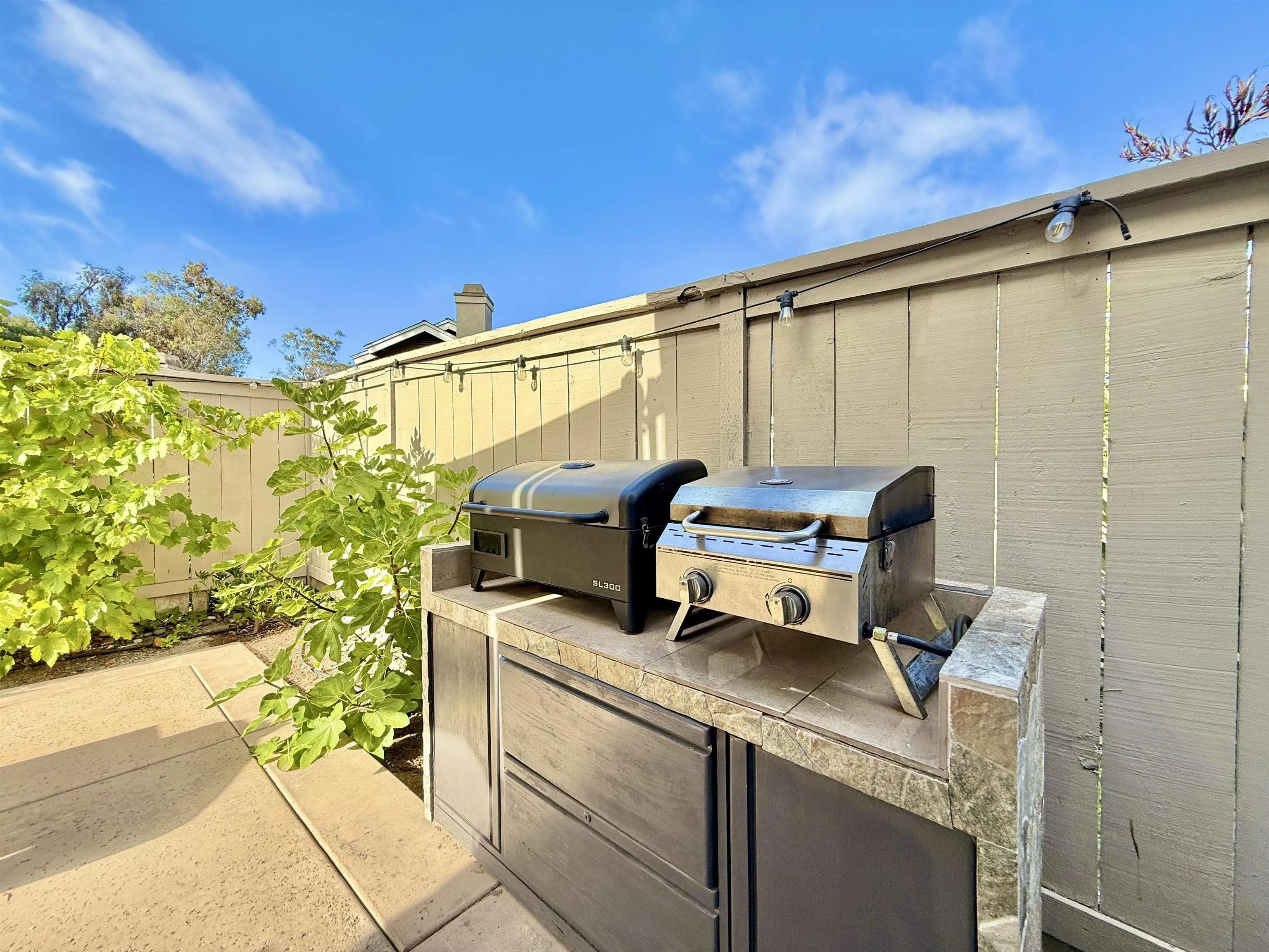 Photo #25: 250035334 Listing: Photo #25
