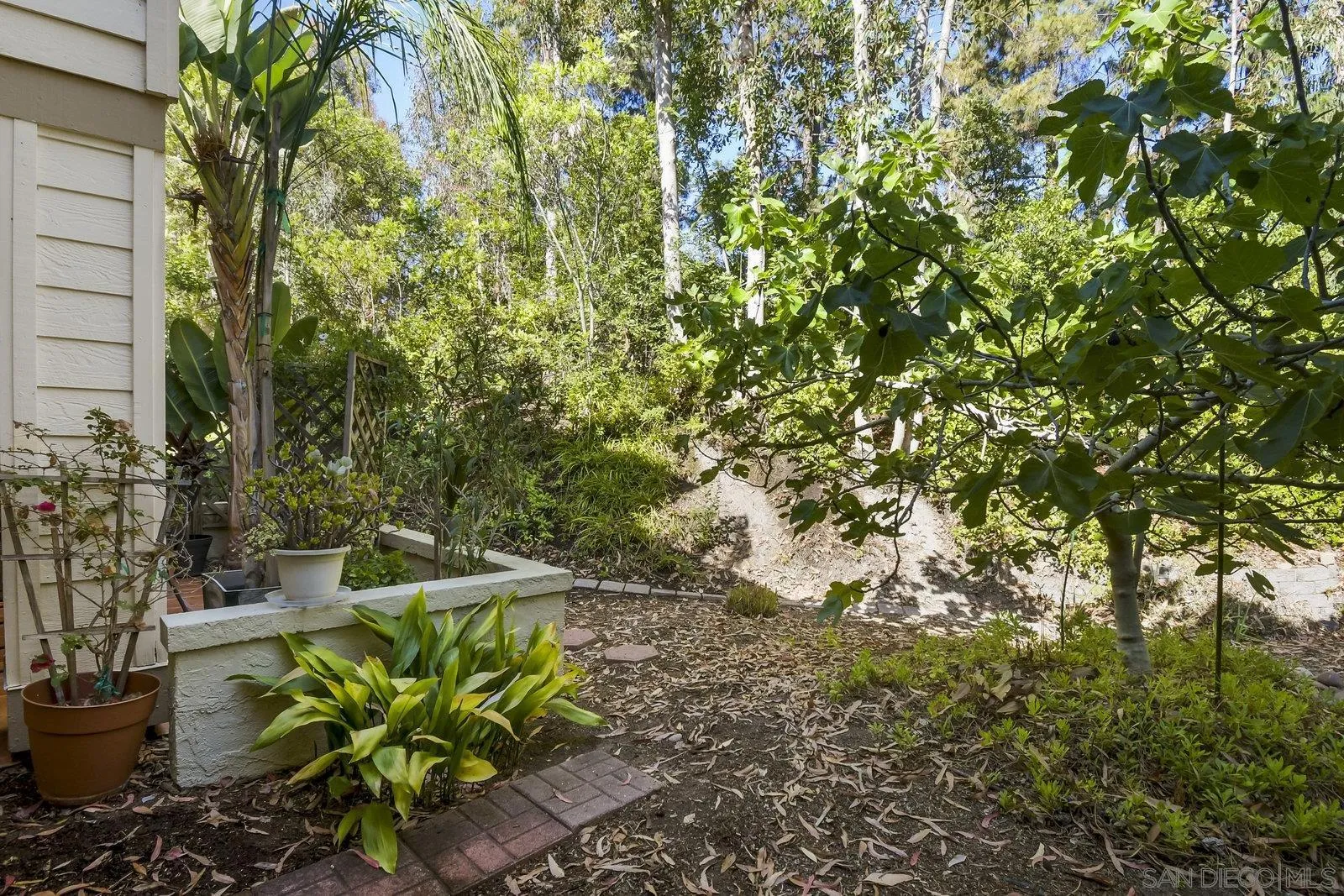 Photo #23: 250035399 Listing: Photo #23