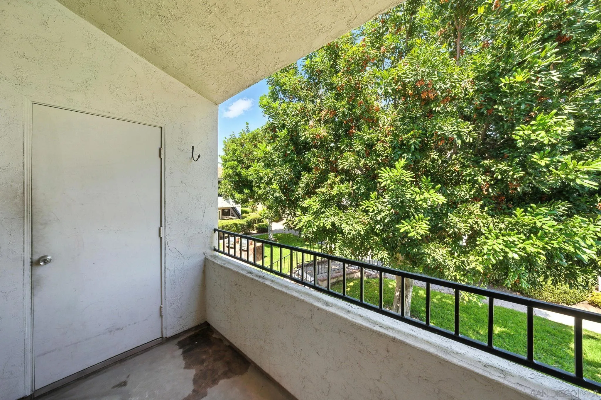 Photo #21: 250035484 Listing: Photo #21