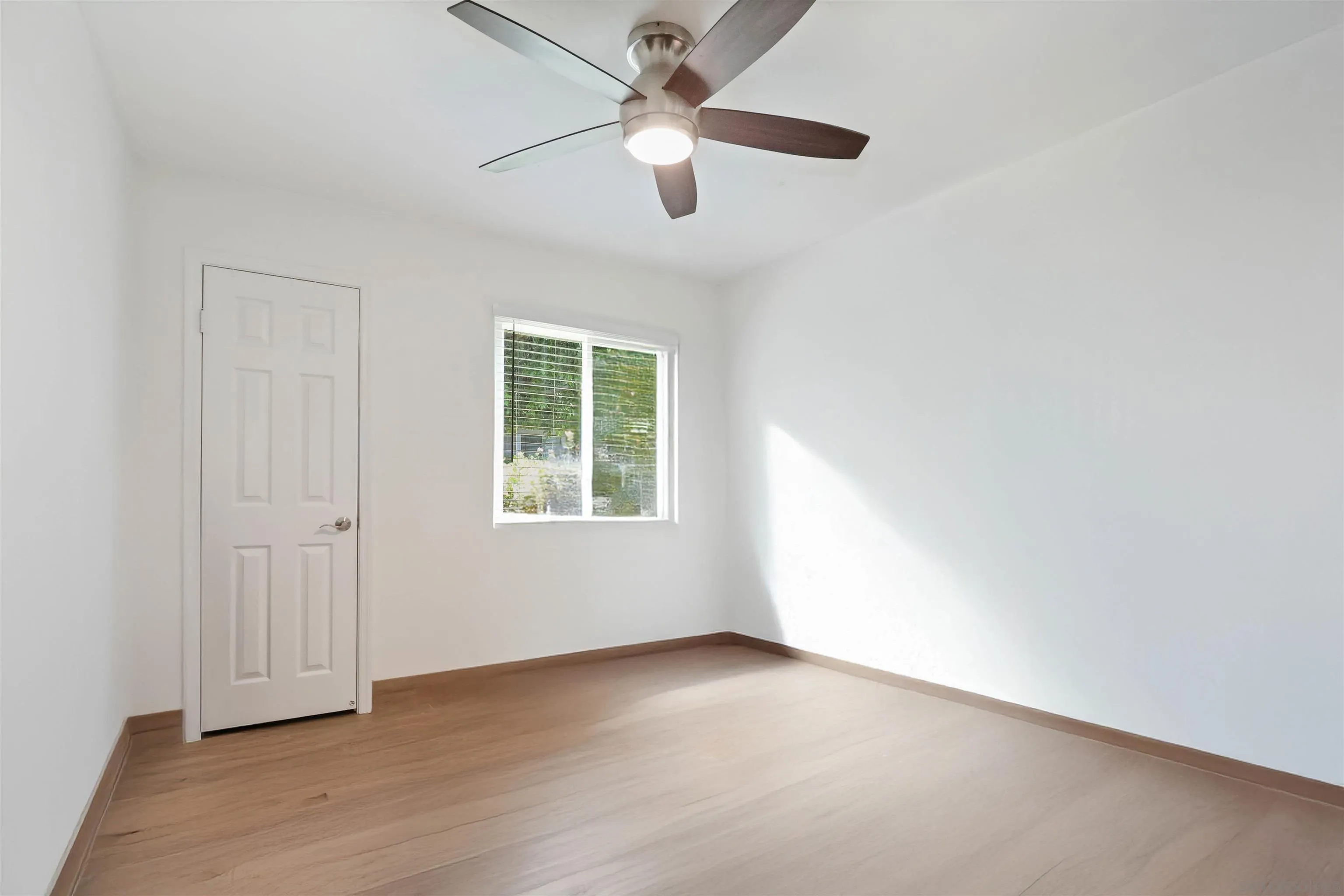 Photo #14: 250035519 Listing: Photo #14