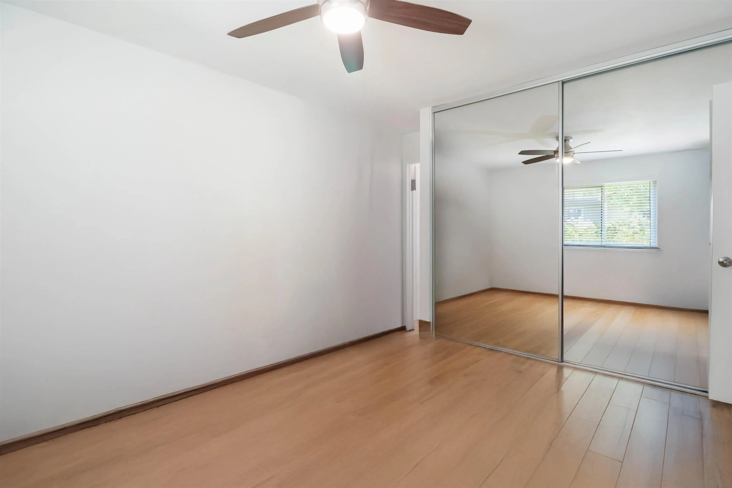 Photo #21: 250035519 Listing: Photo #21