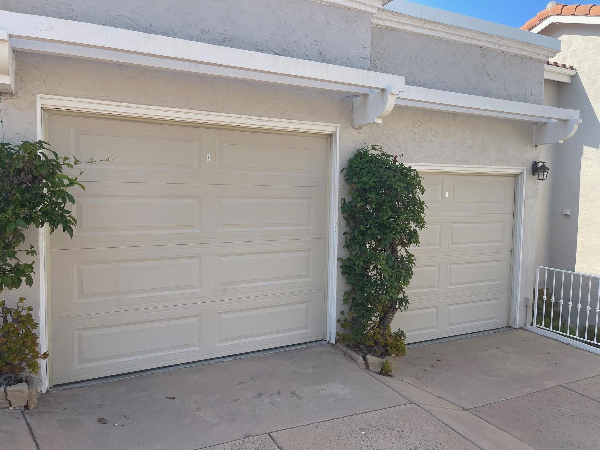 Photo #11: 250035568 Listing: Photo #11