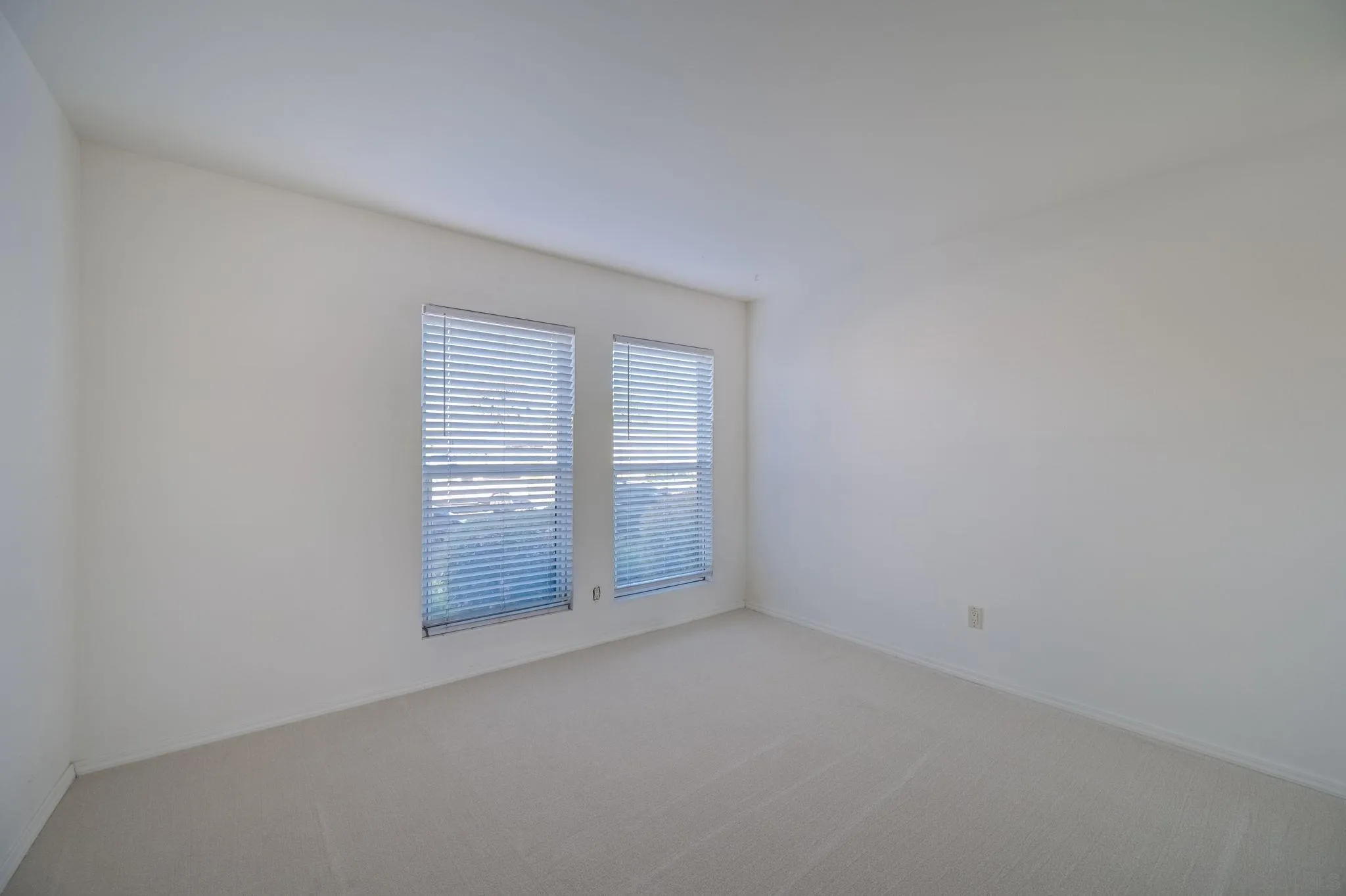 Photo #8: 250035576 Listing: Photo #8