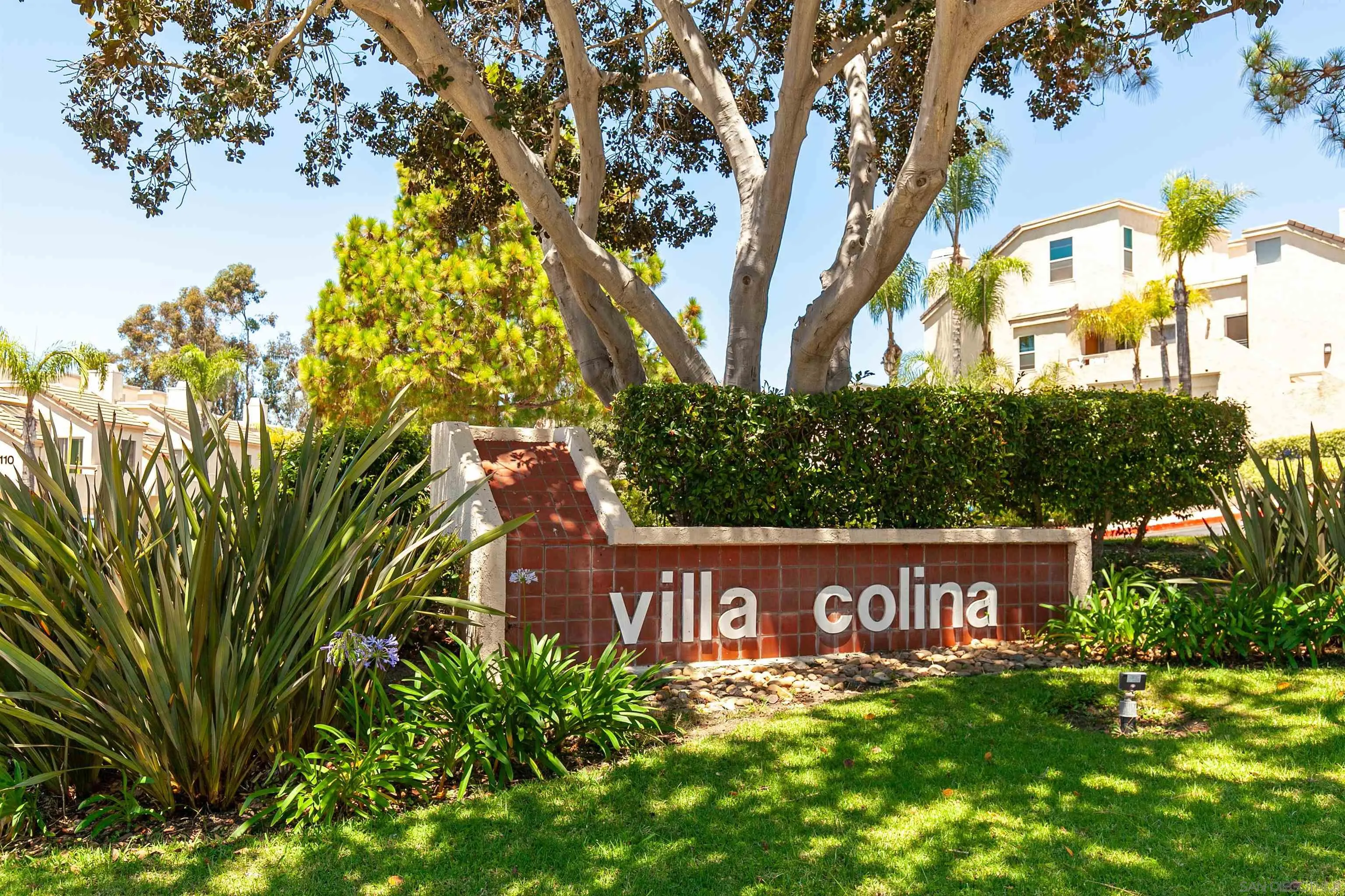 Photo #2: 250035623 Listing 