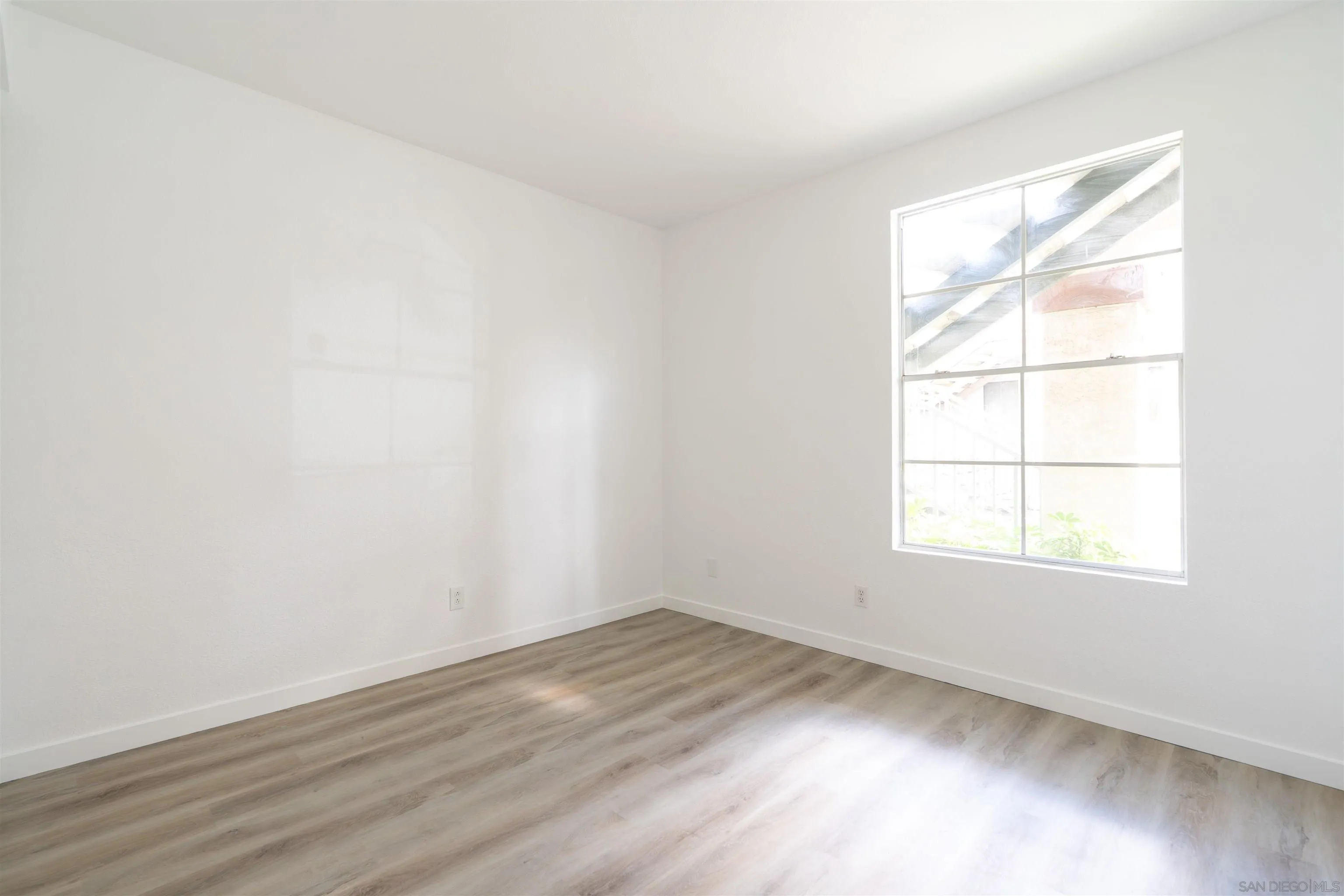 Photo #23: 250035624 Listing: Photo #23