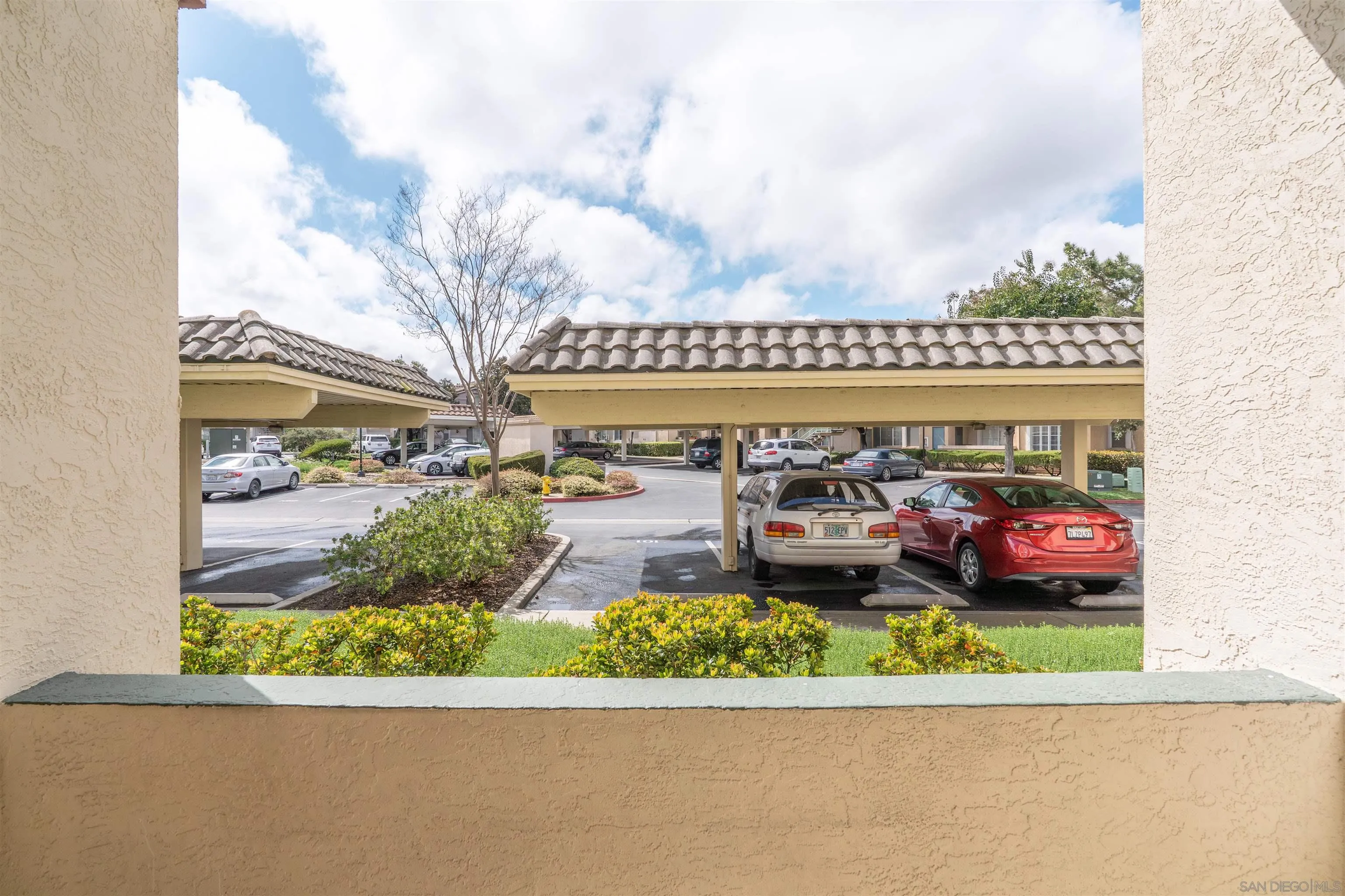 Photo #31: 250035624 Listing: Photo #31