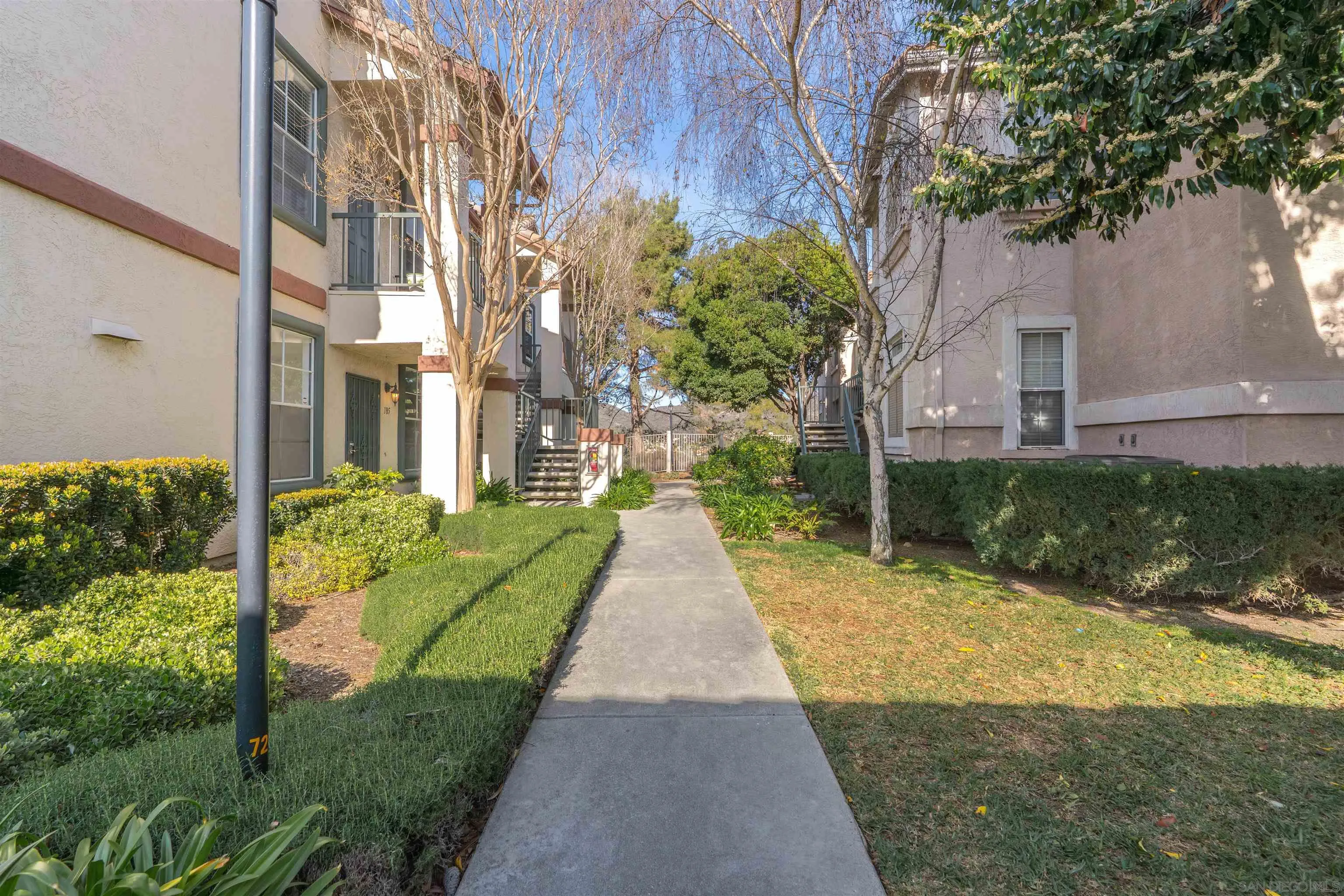 Photo #32: 250035624 Listing: Photo #32
