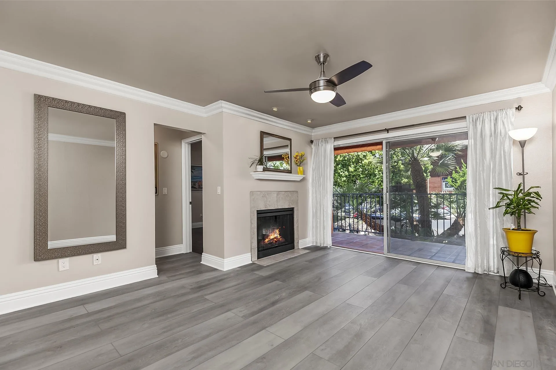 Photo #5: 250035656 Listing 