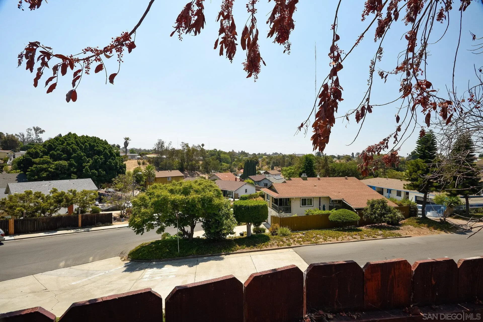 Photo #25: 250035691 Listing: Photo #25