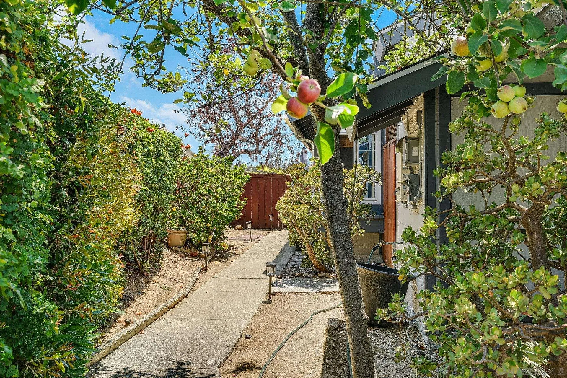 Photo #2: 250035691 Listing 