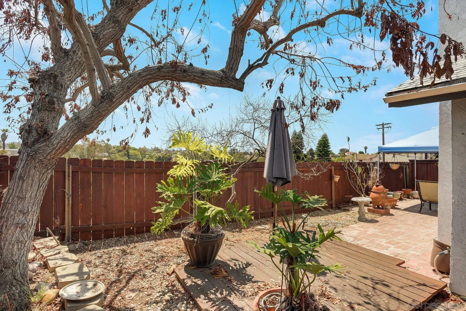 Photo #23: 250035691 Listing: Photo #23