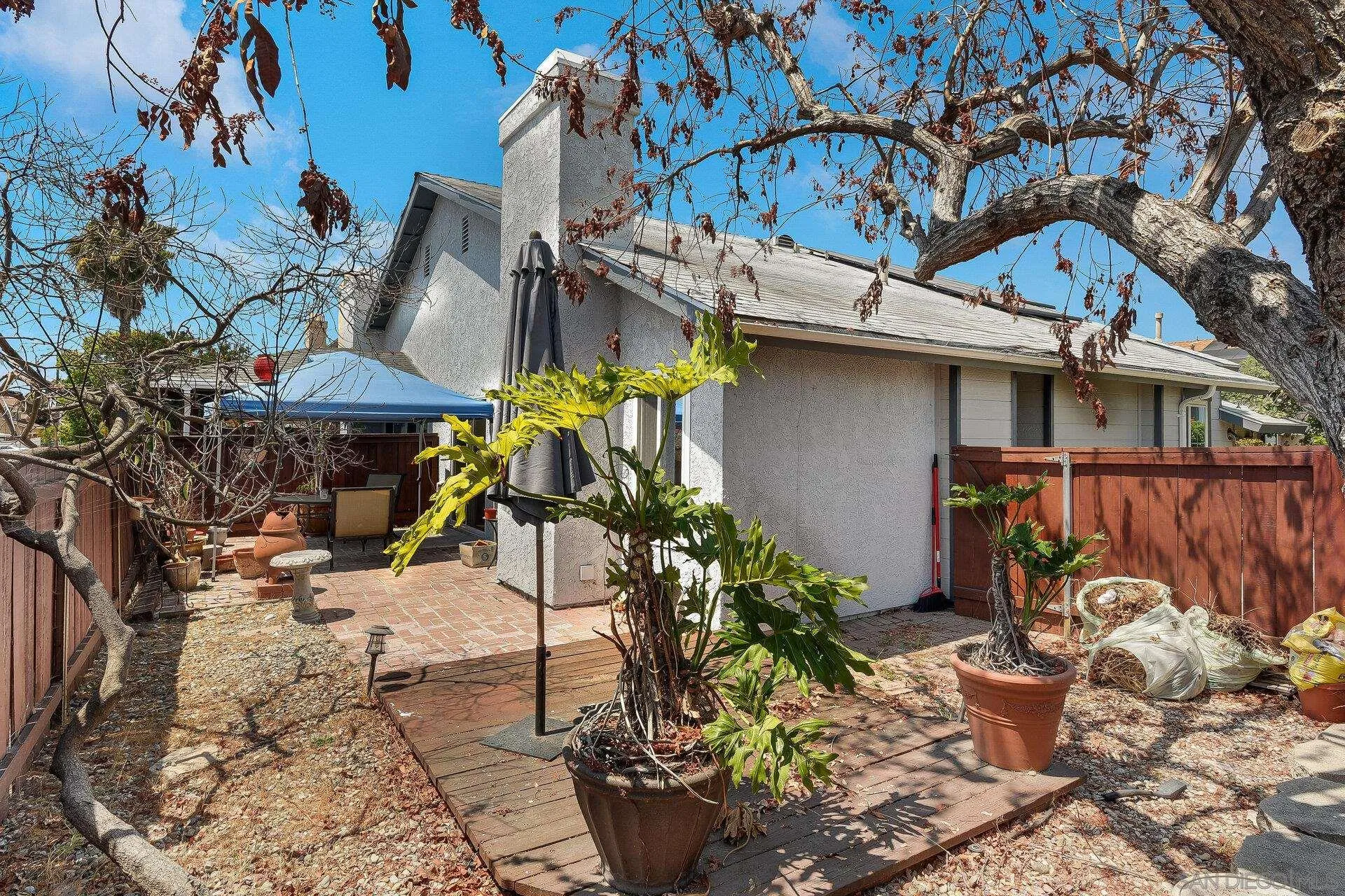 Photo #24: 250035691 Listing: Photo #24