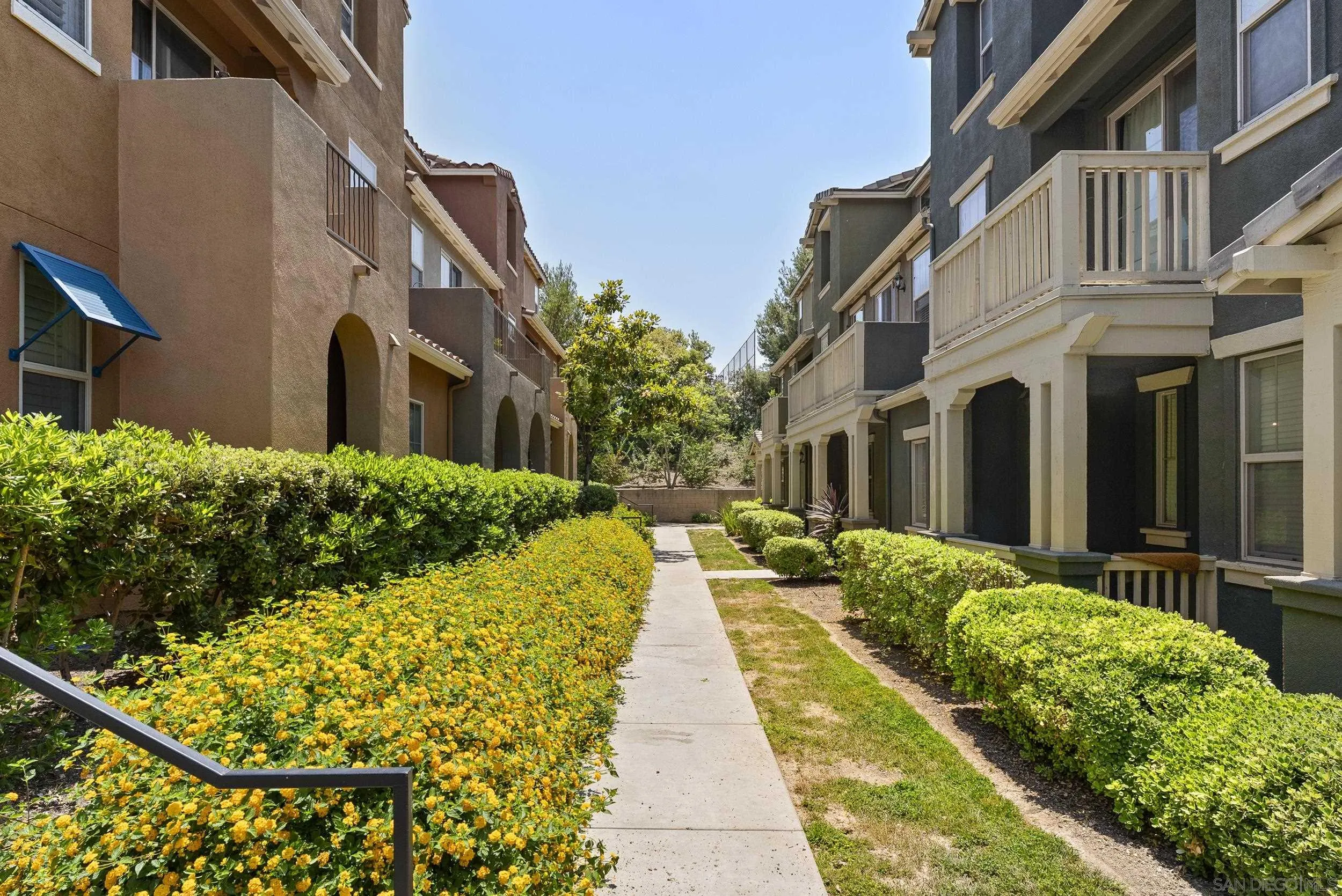 Photo #2: 250035781 Listing 