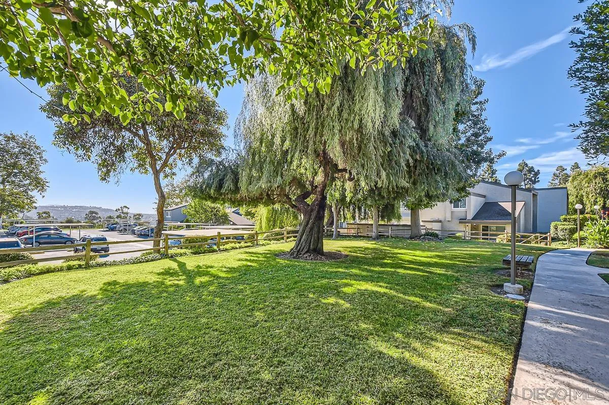 Photo #32: 250035833 Listing: Photo #32