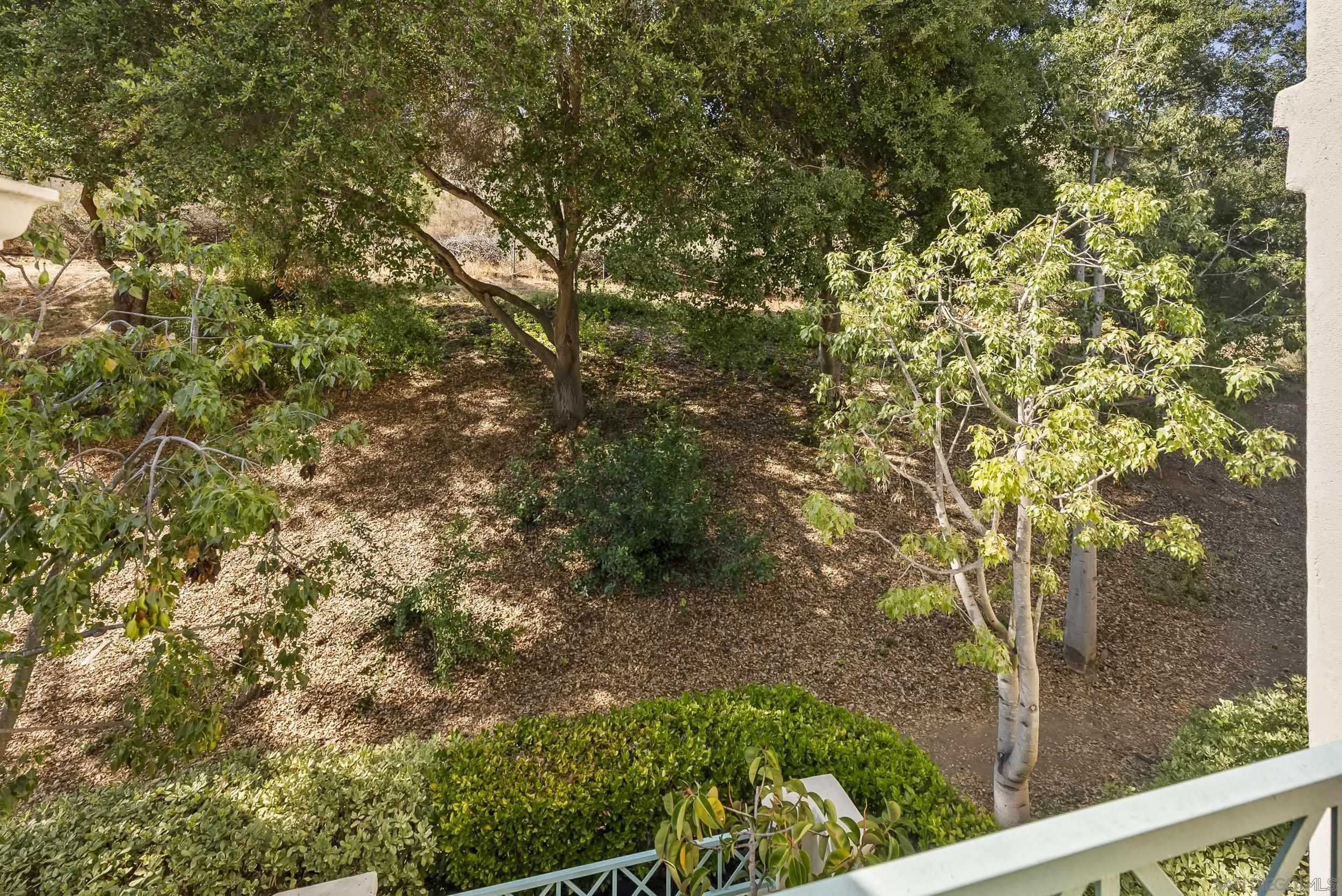Photo #26: 250035899 Listing: Photo #26
