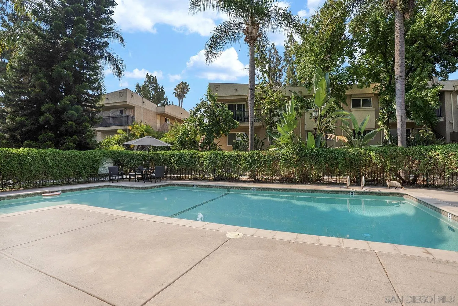 https://cdn.realtyfeed.com/cdn/127/250036517/67e87b975fd27868cc08dc6110736e2c.webp
