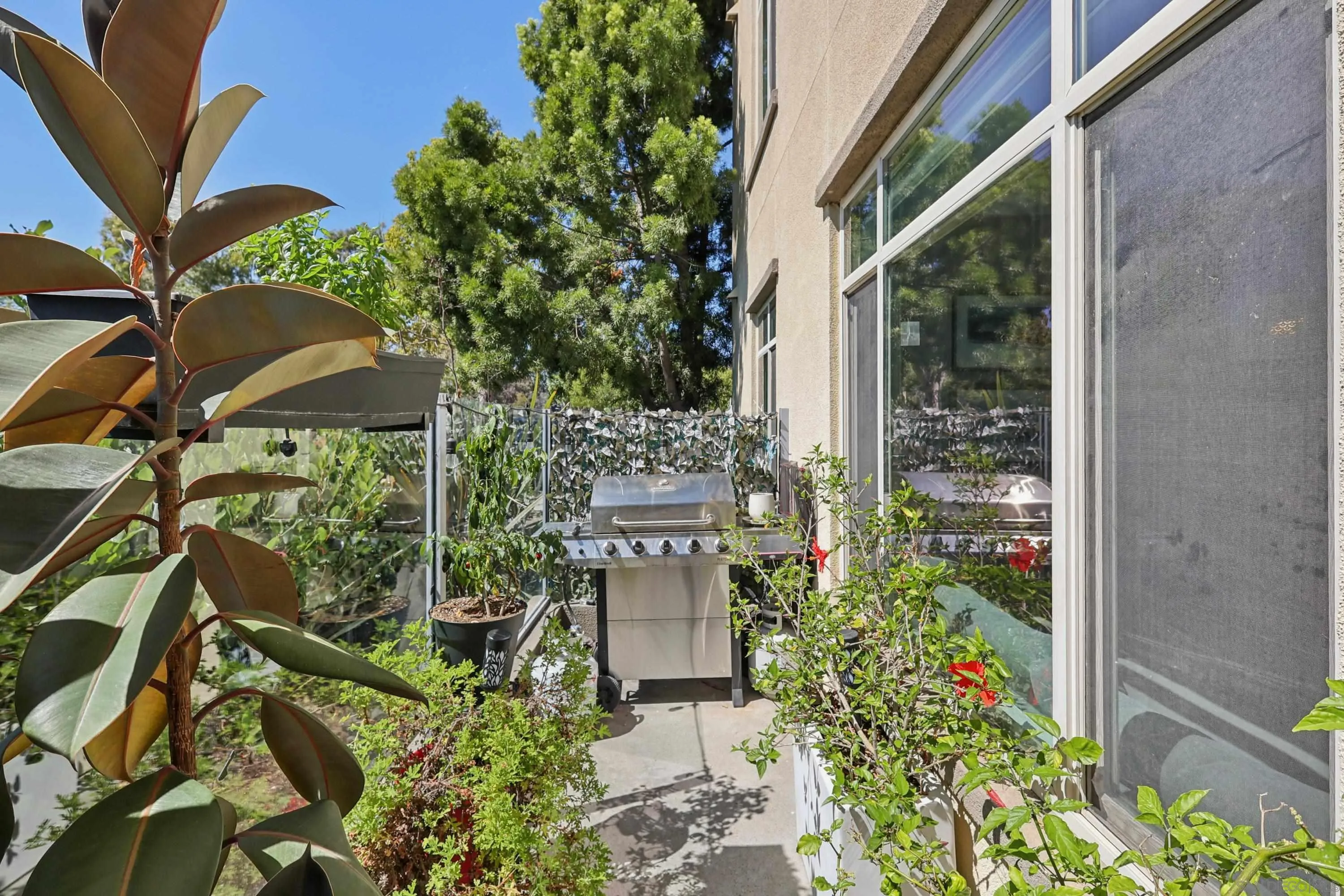 Photo #16: 250036947 Listing: Photo #16