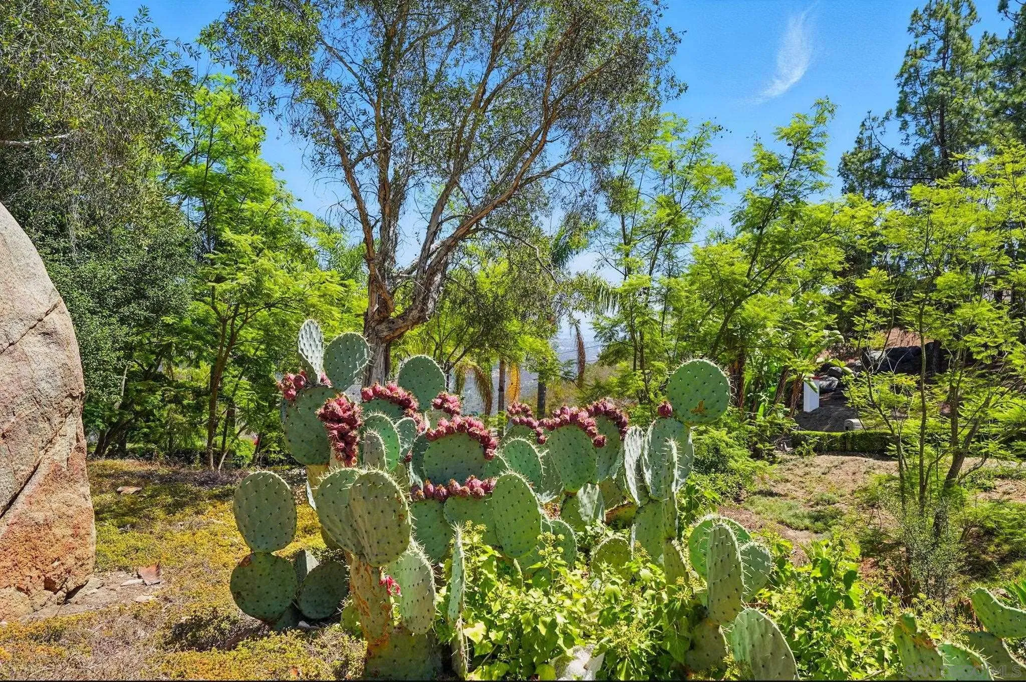https://cdn.realtyfeed.com/cdn/127/250036955/65009260fbe5a4768c45553c4f972381.webp