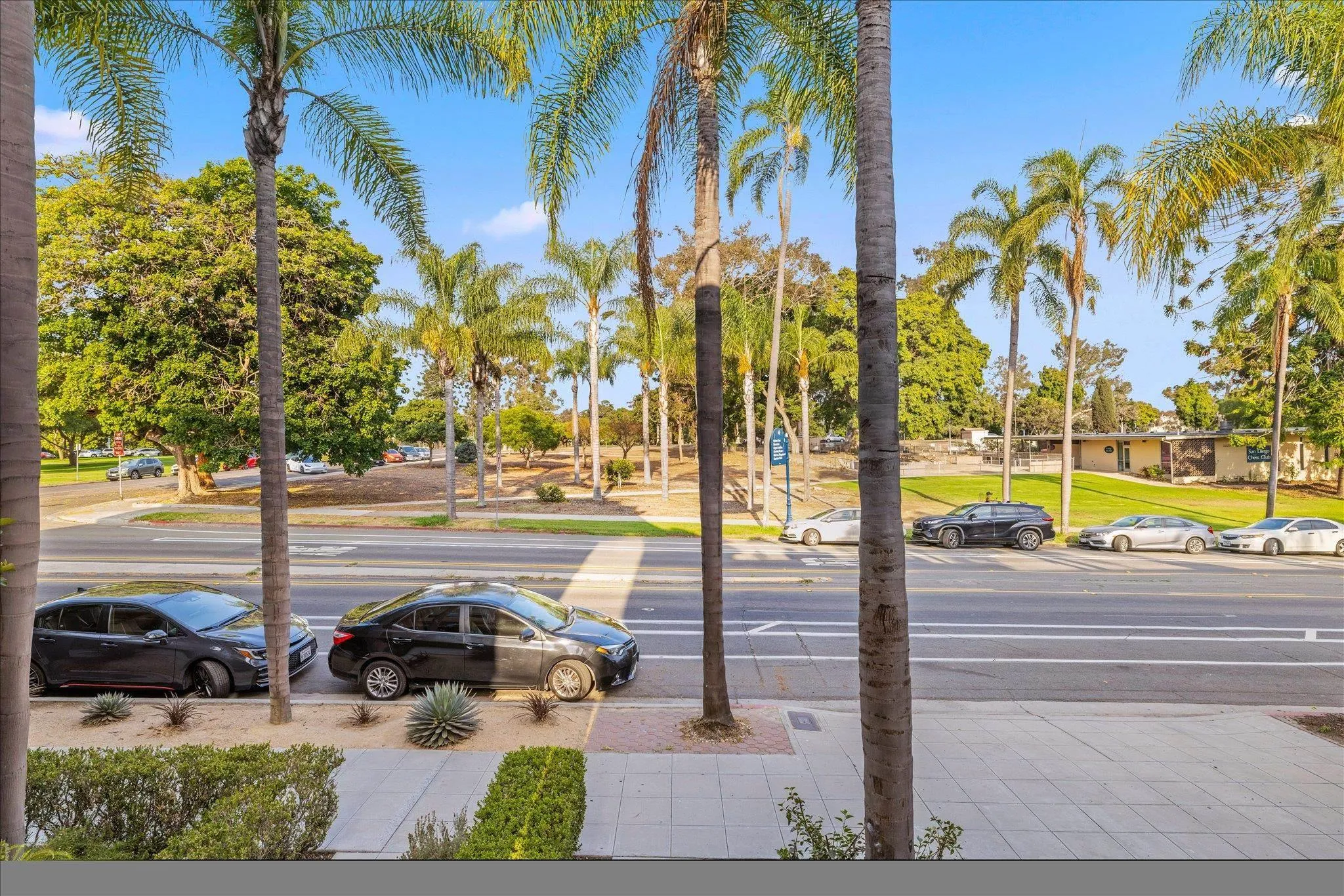 Photo #37: 250036989 Listing: Photo #37