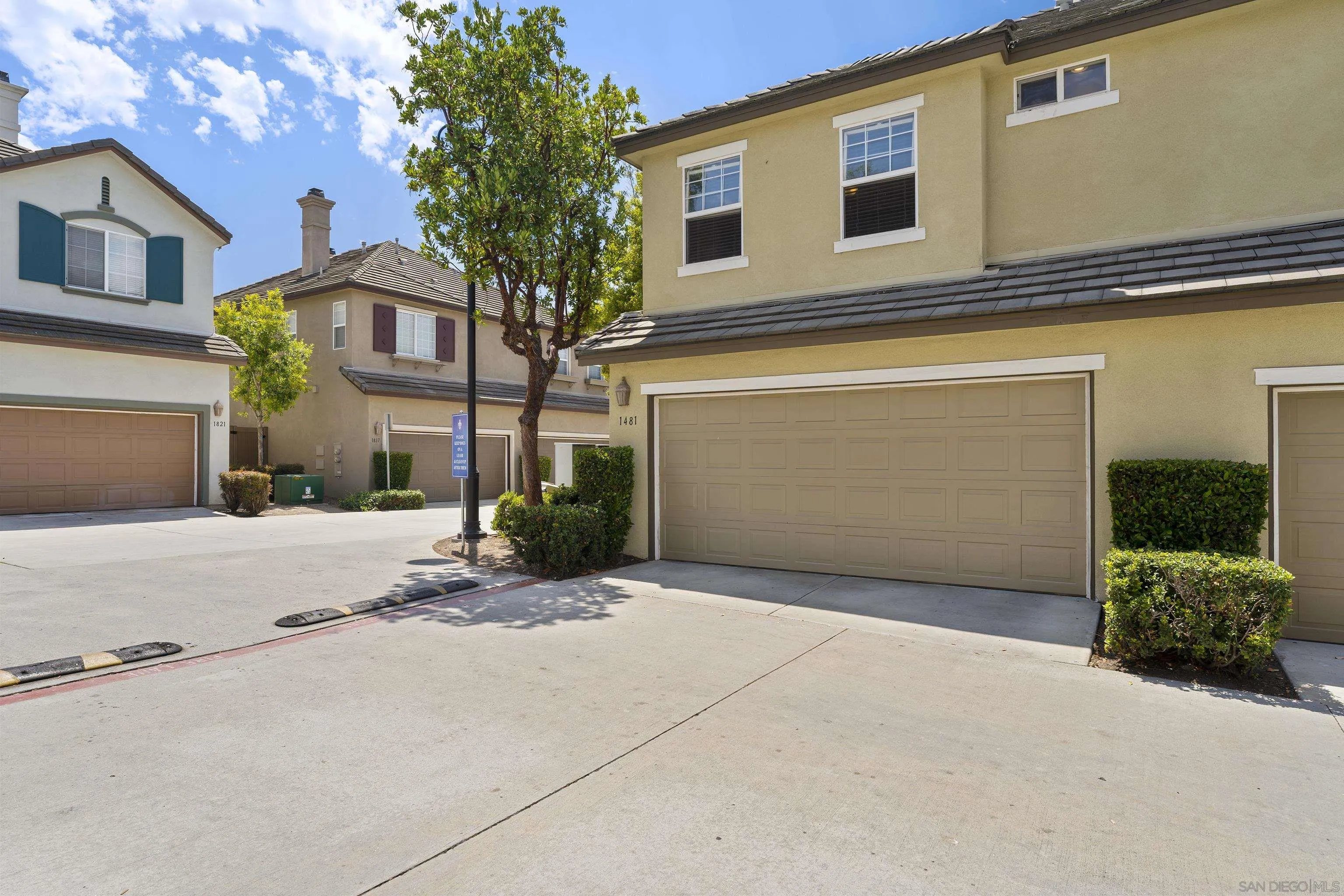 Photo #31: 250037025 Listing: Photo #31