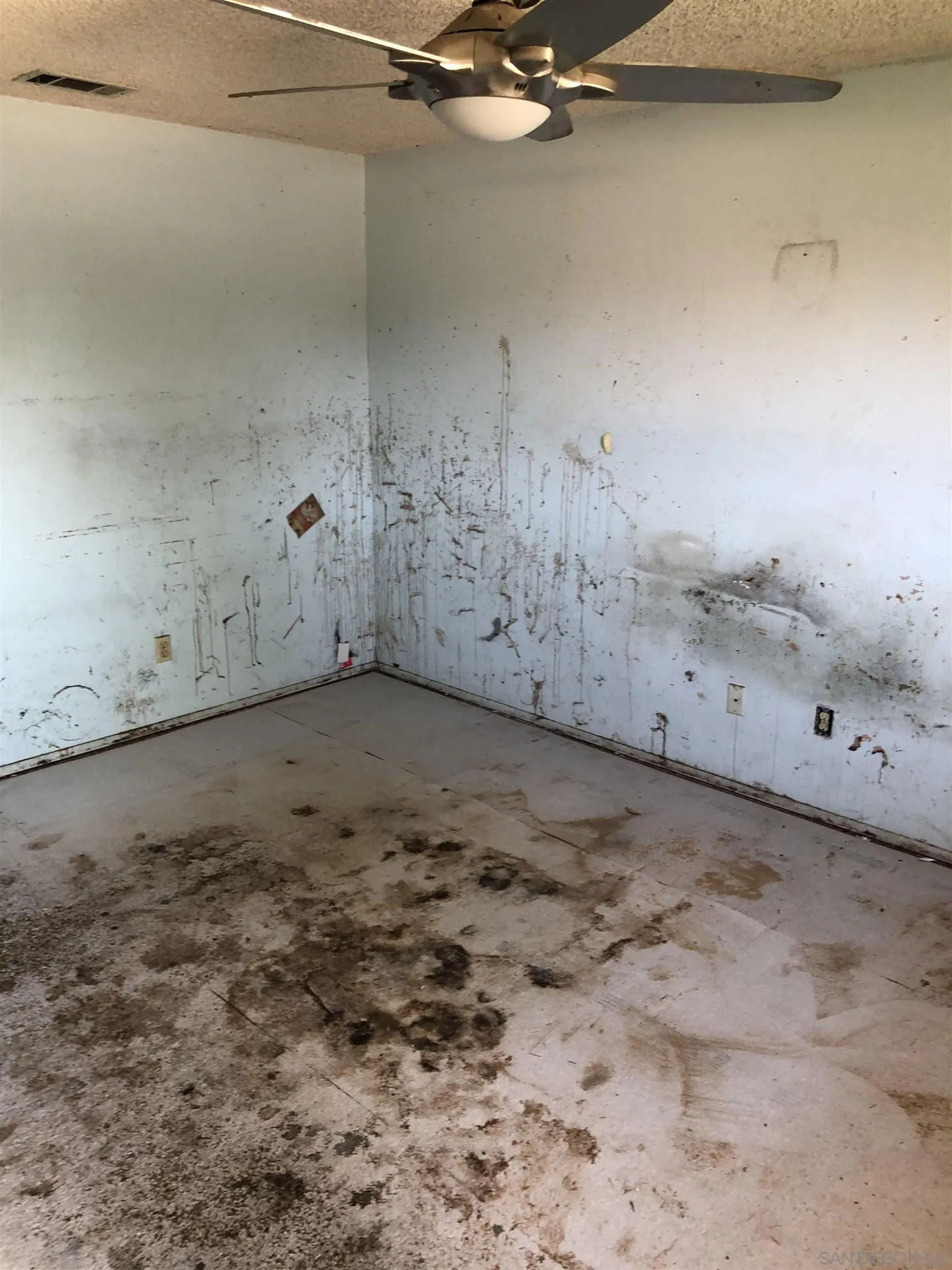 https://cdn.realtyfeed.com/cdn/127/250037334/1c5ded9d20b5dad8ee8388d5e7e6be1c.webp