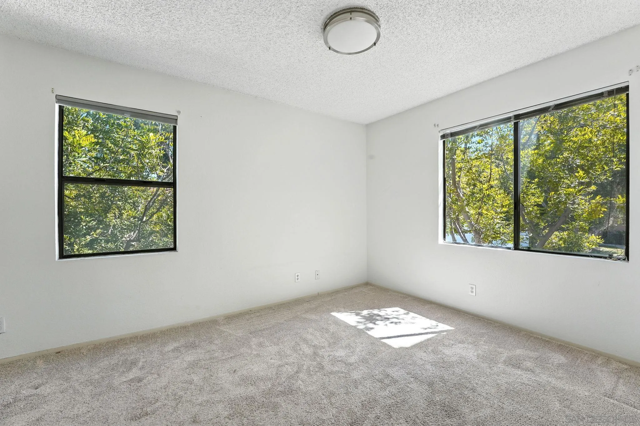 Photo #11: 250037577 Listing: Photo #11
