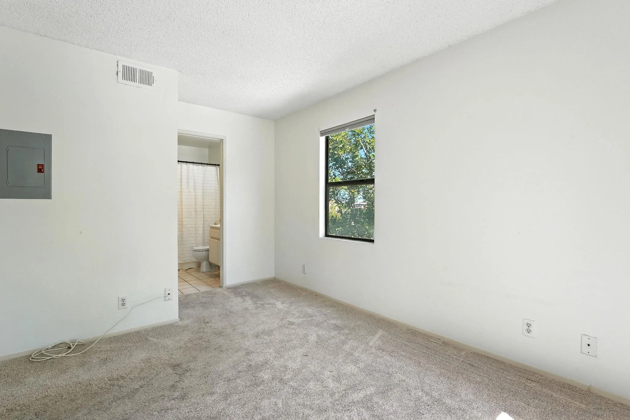 Photo #12: 250037577 Listing: Photo #12