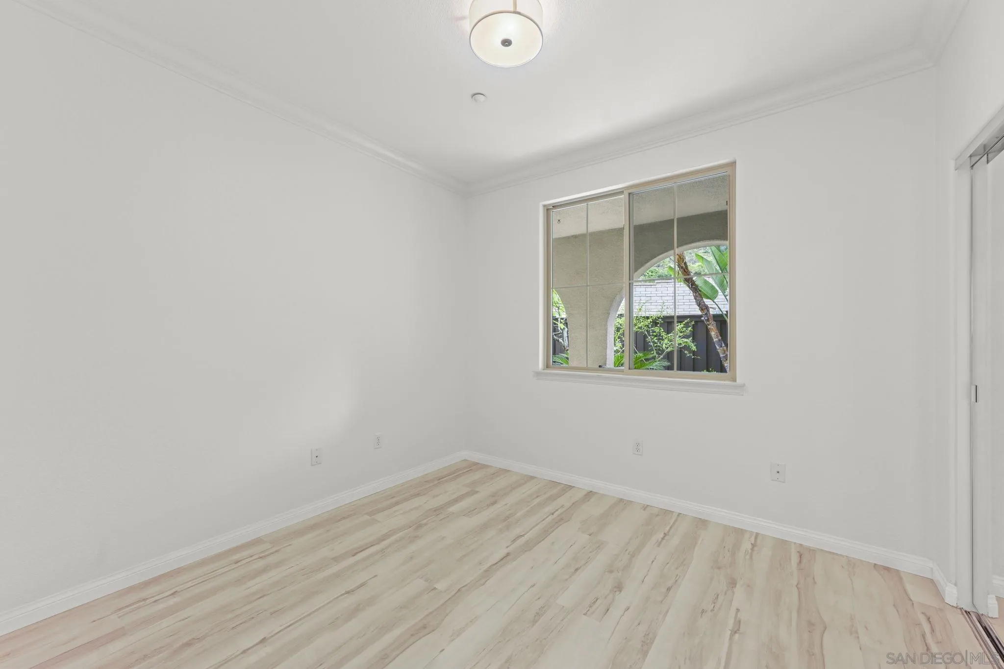 Photo #31: 250037628 Listing: Photo #31