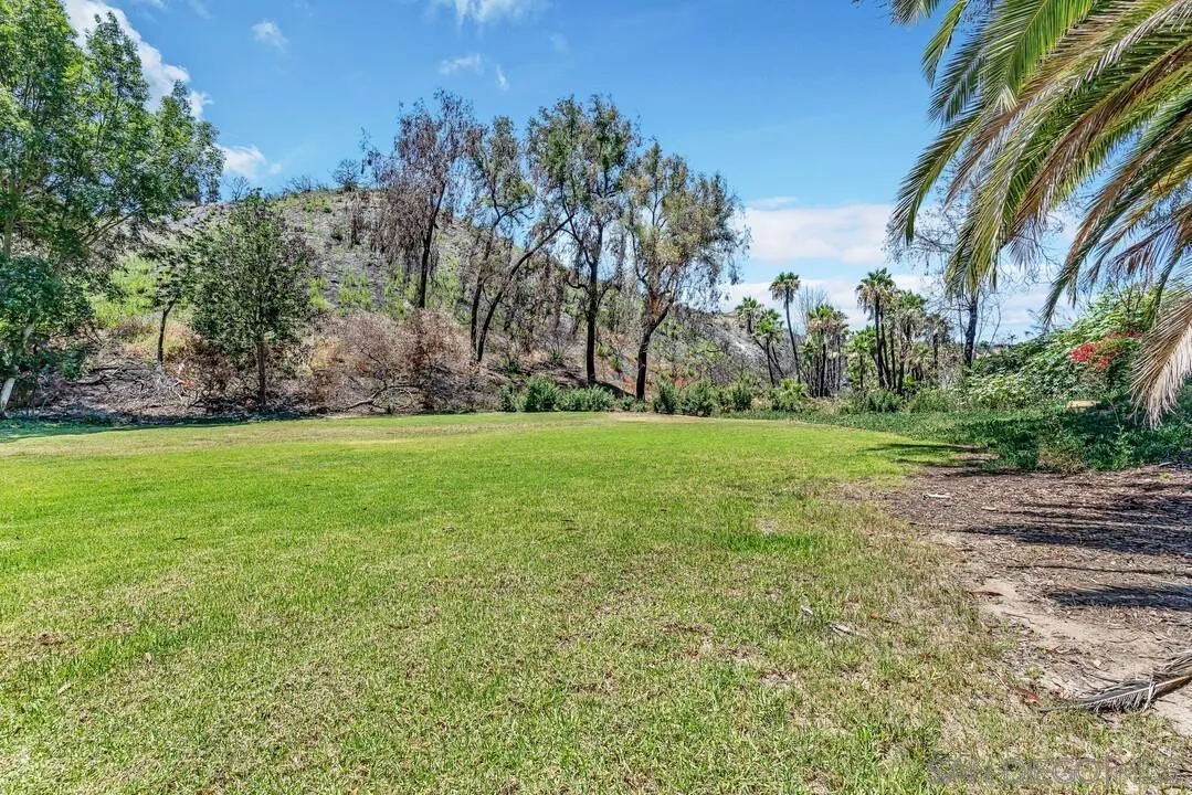 Photo #32: 250037642 Listing: Photo #32