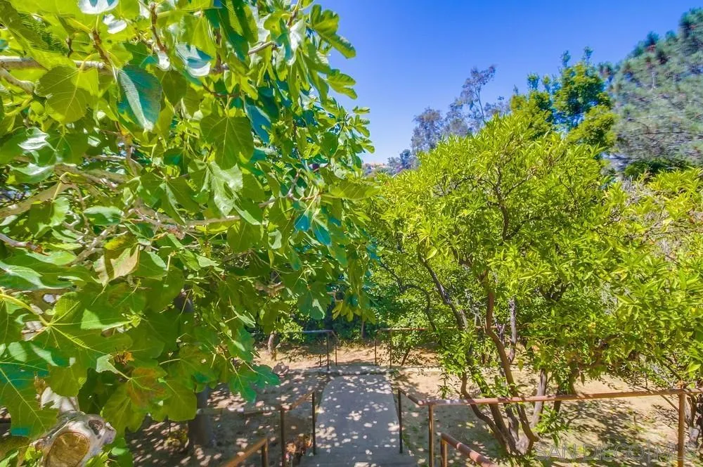 https://cdn.realtyfeed.com/cdn/127/250037882/4ccd592815d6de27de7d2bd9ee346826.webp