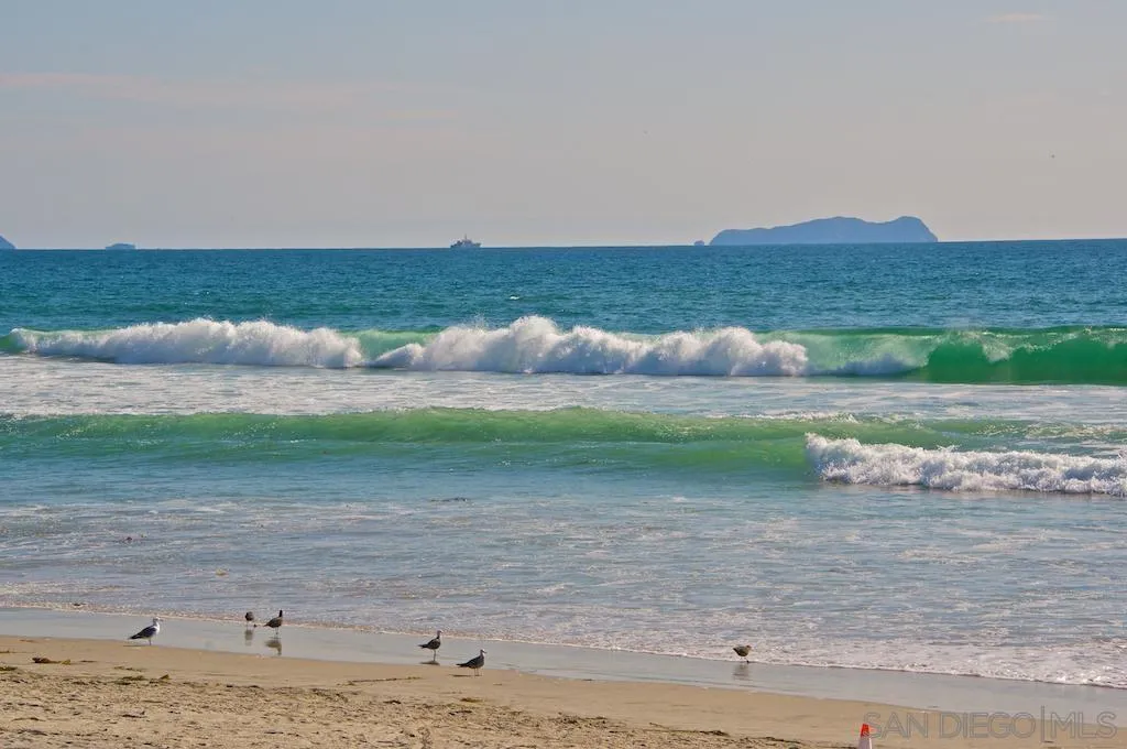 Photo #48: 250037932 Listing: Photo #48