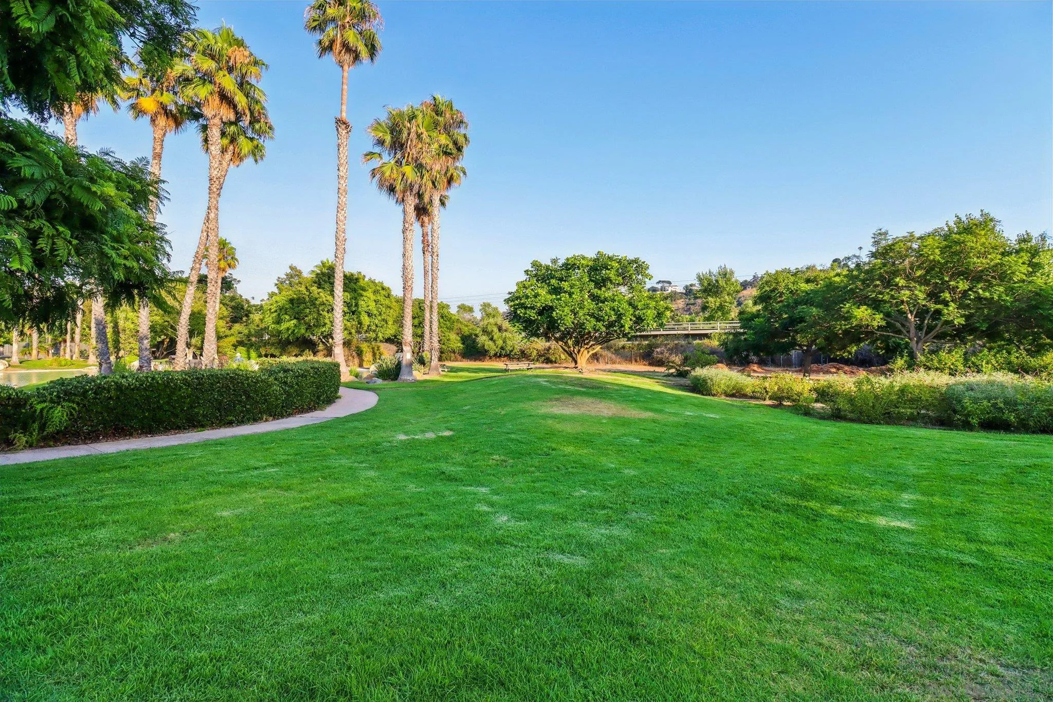 Photo #36: 250037983 Listing: Photo #36