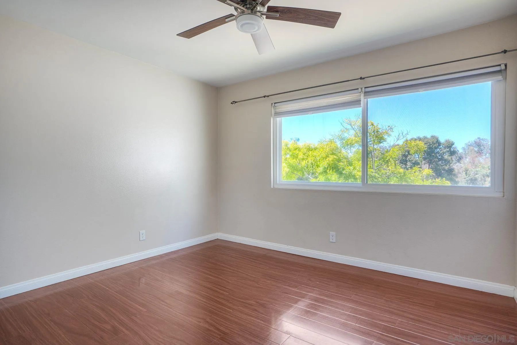 Photo #12: 250038243 Listing: Photo #12