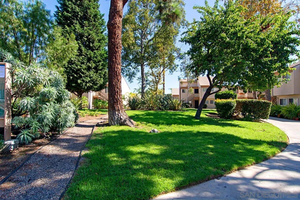 Photo #16: 250038546 Listing: Photo #16