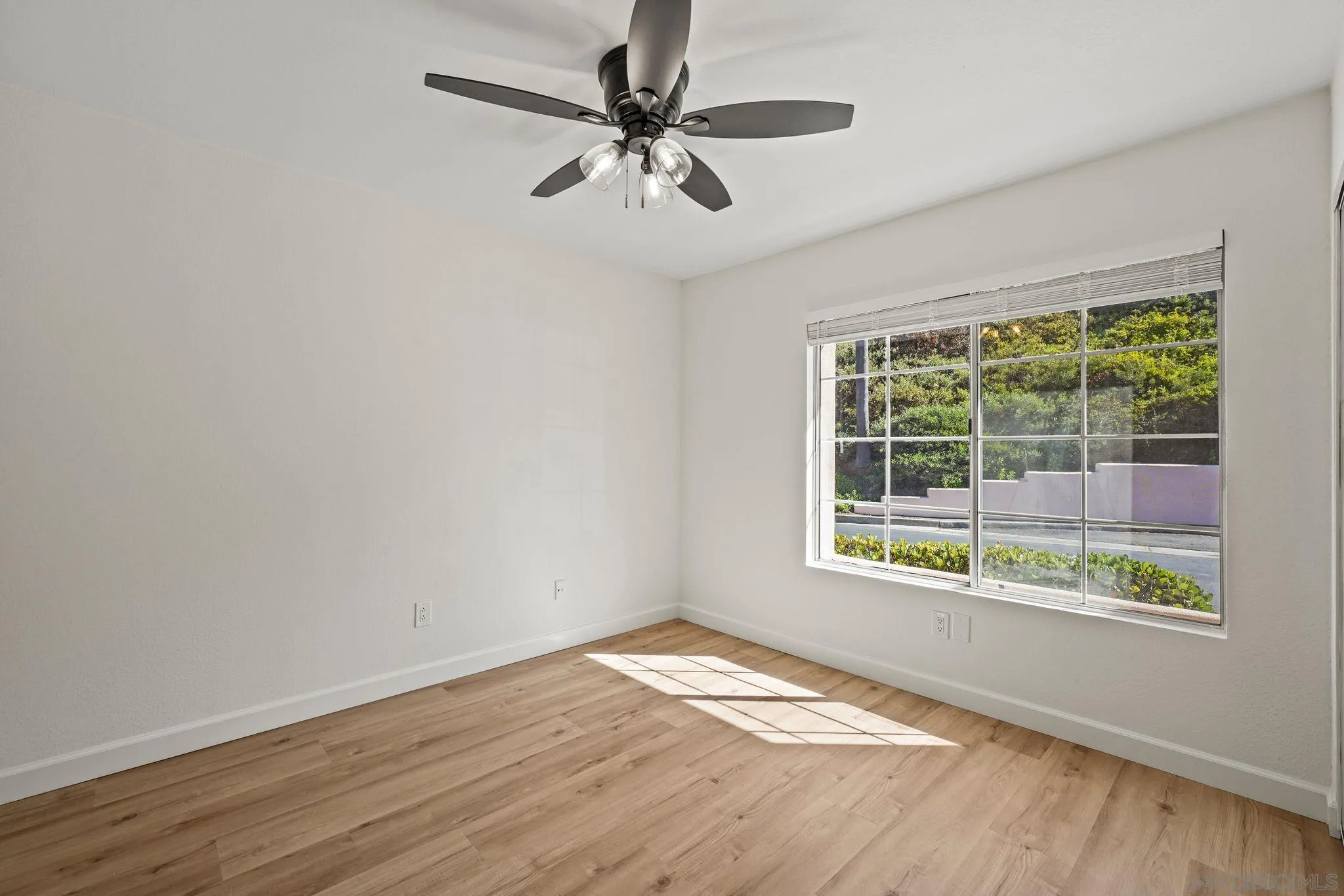 Photo #22: 250038737 Listing: Photo #22