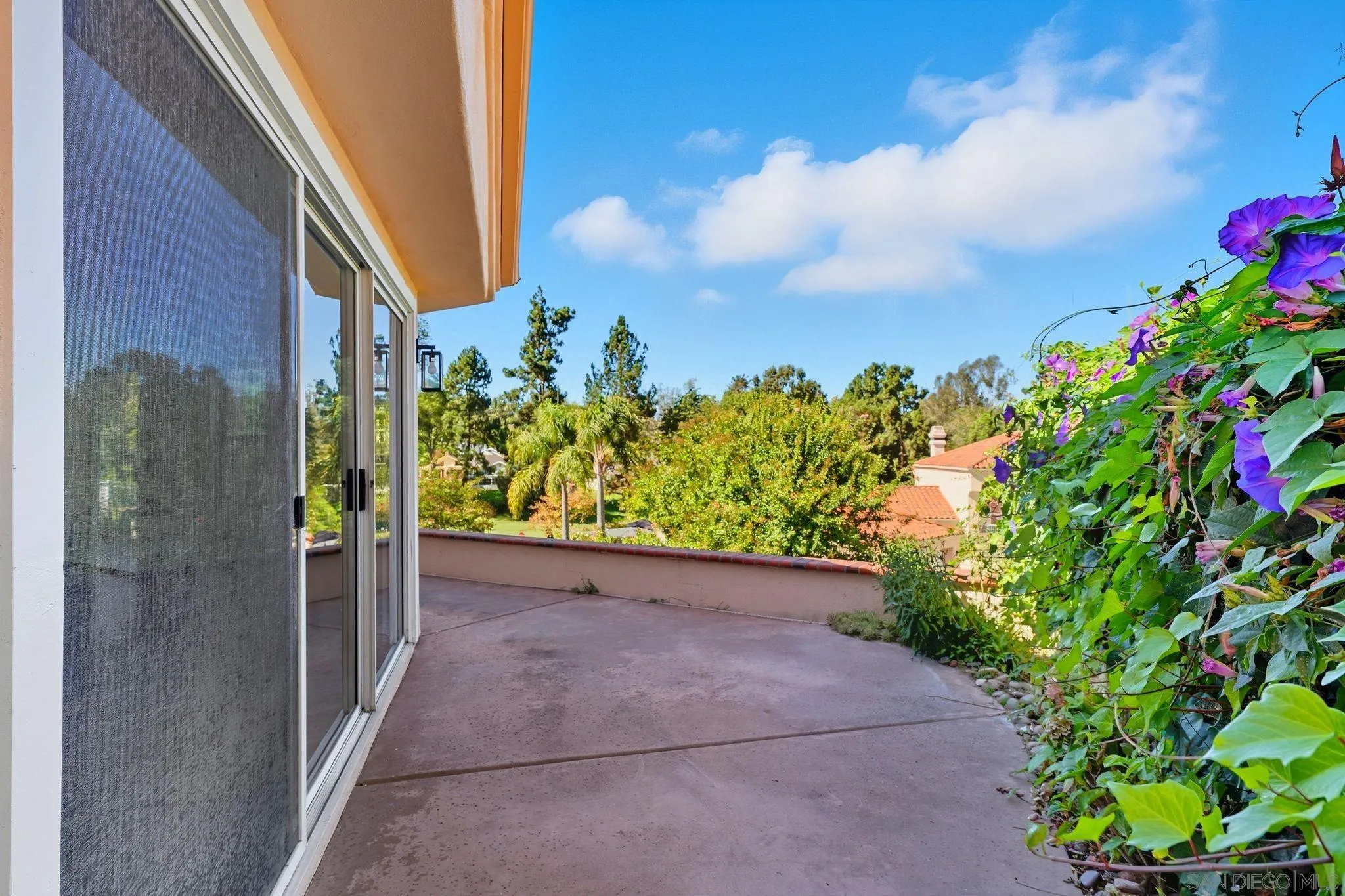 Photo #29: 250038737 Listing: Photo #29