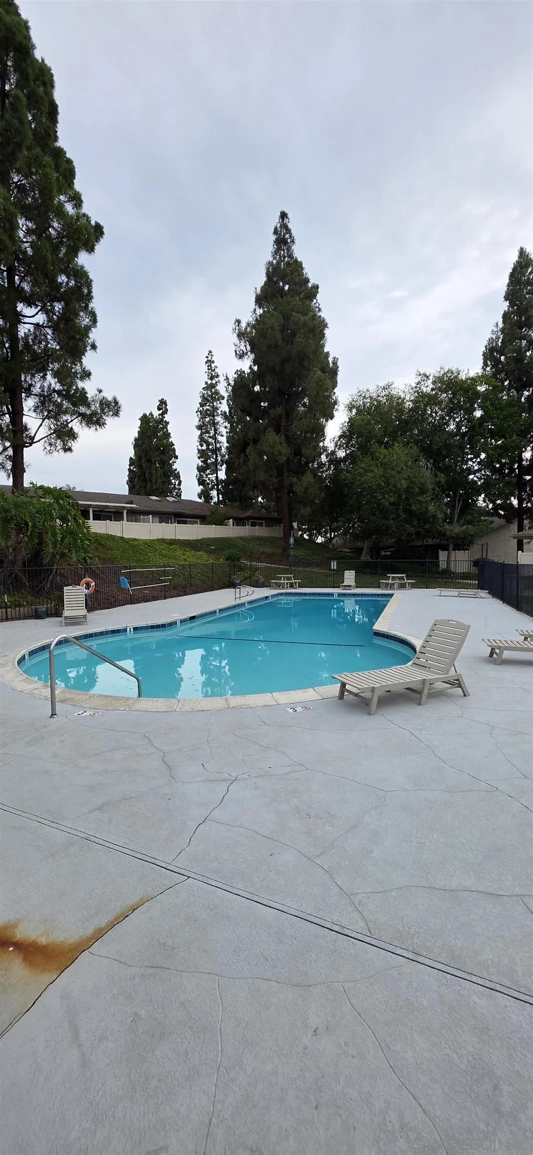Photo #21: 250038842 Listing: Photo #21