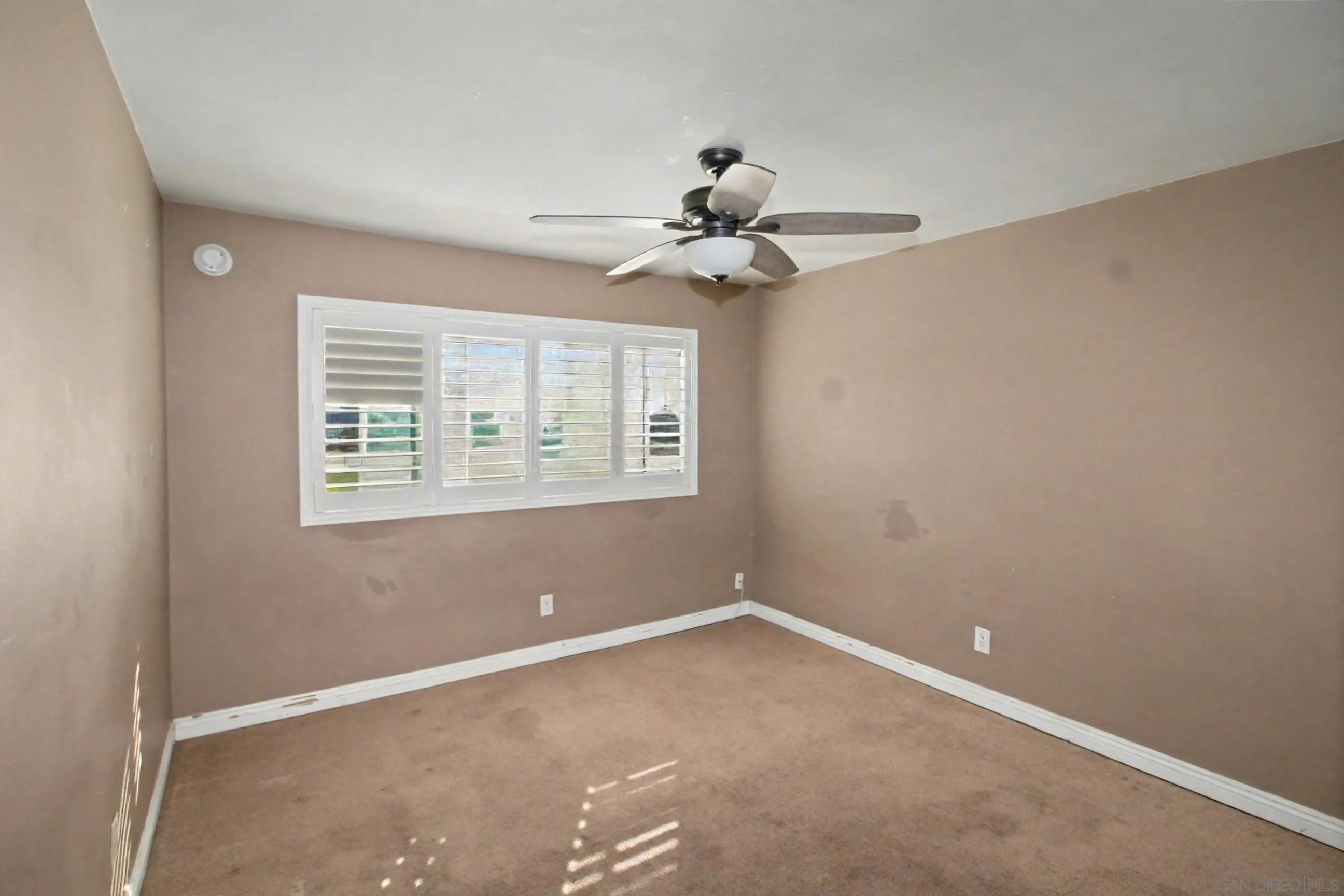 Photo #18: 250038861 Listing: Photo #18