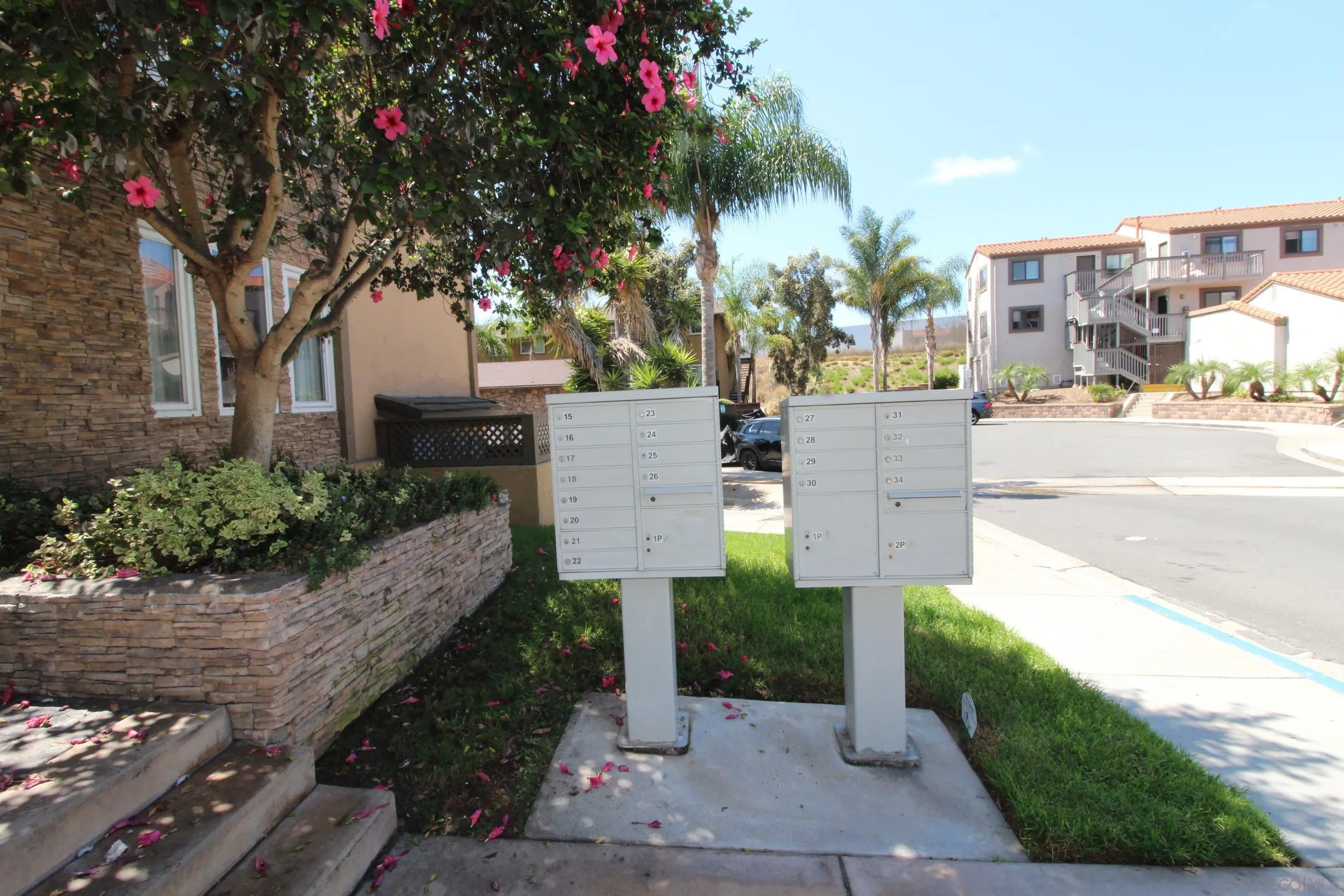 Photo #6: 250038861 Listing 