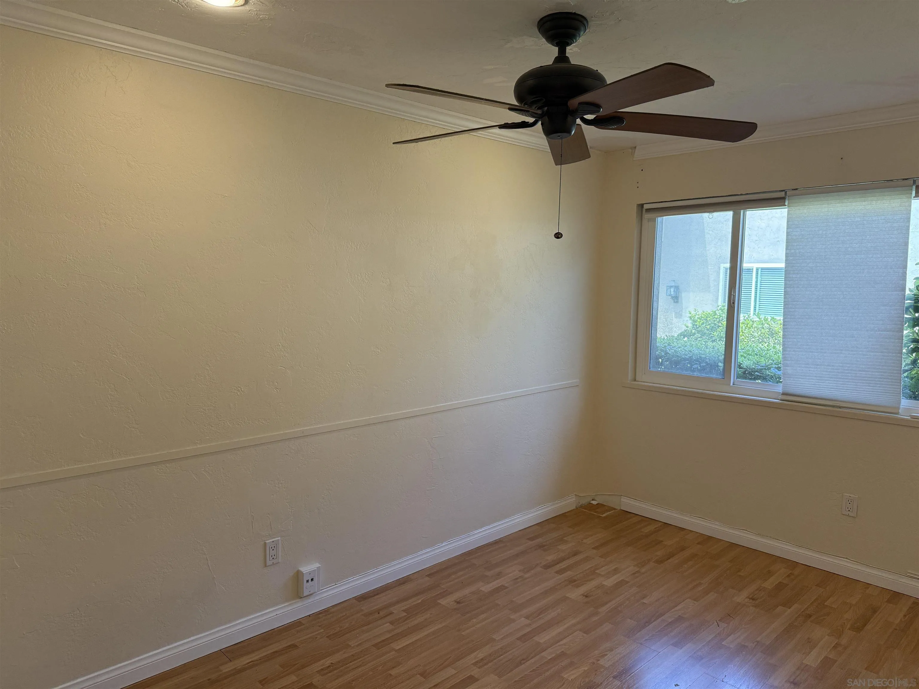 Photo #25: 250038909 Listing: Photo #25