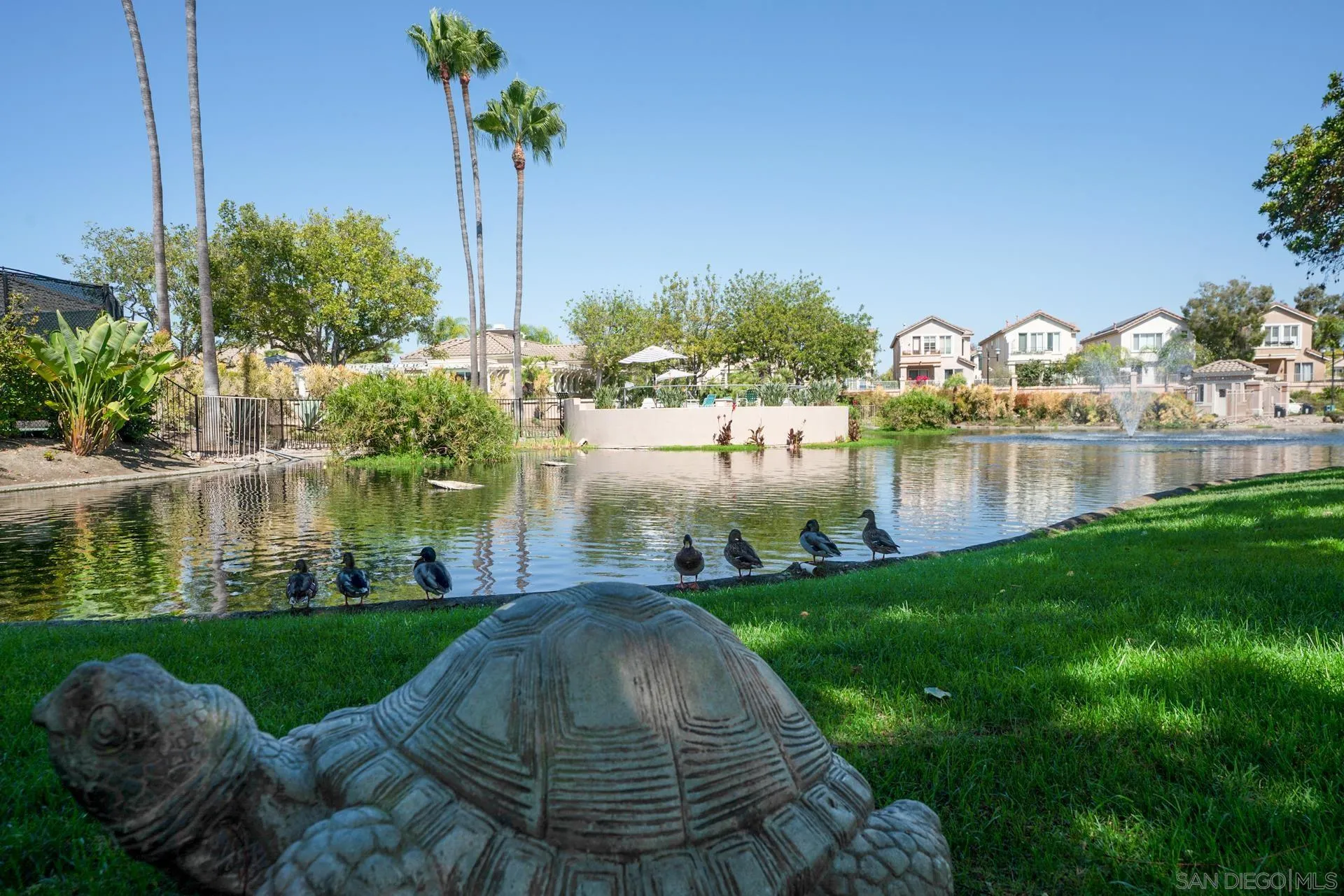 Photo #31: 250039445 Listing: Photo #31