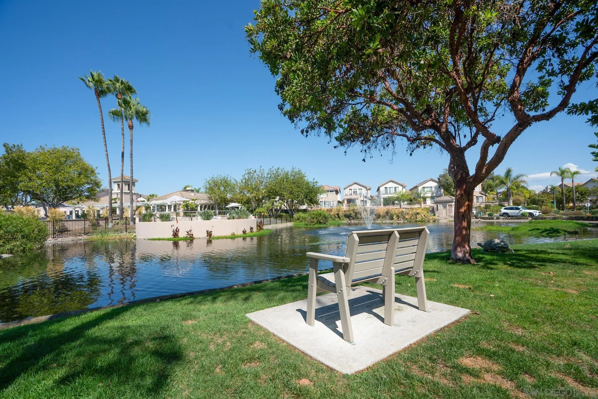 Photo #29: 250039445 Listing: Photo #29