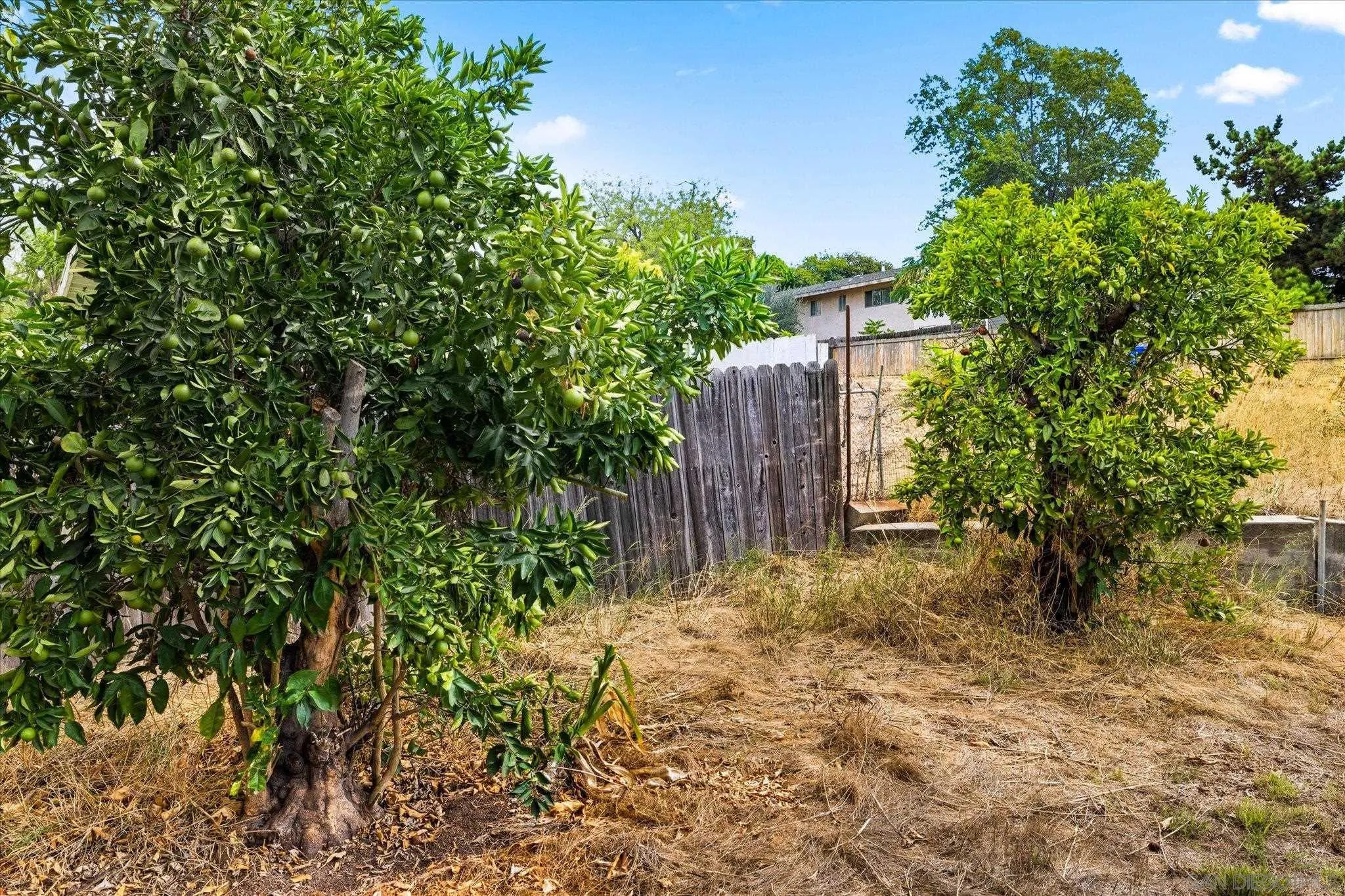 https://cdn.realtyfeed.com/cdn/127/250039446/a3b0350f56f5a8ff6284ae44ca5a30ee.webp