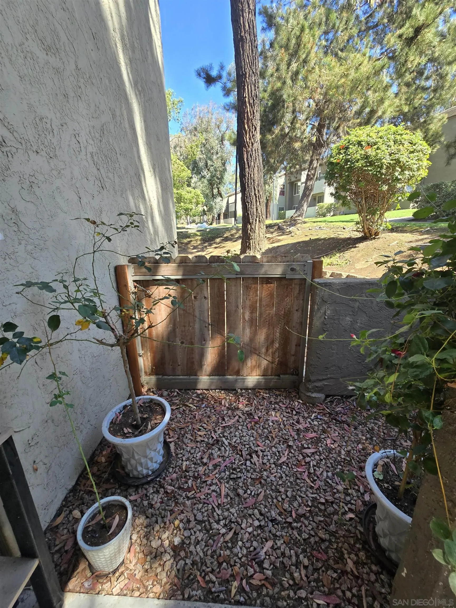 Photo #17: 250039538 Listing: Photo #17