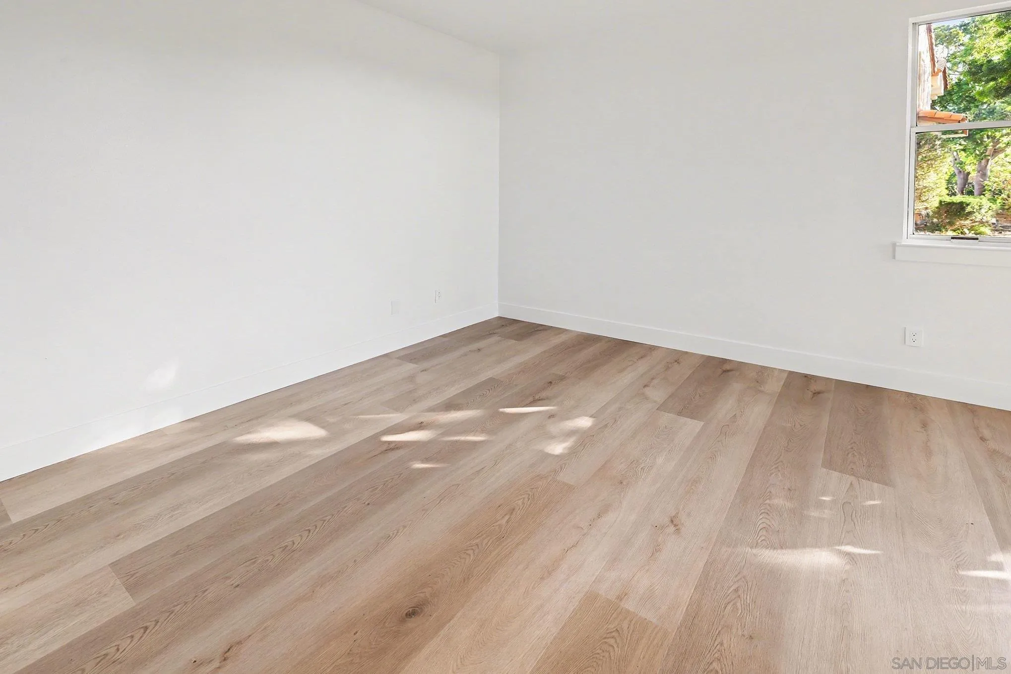 Photo #27: 250039638 Listing: Photo #27