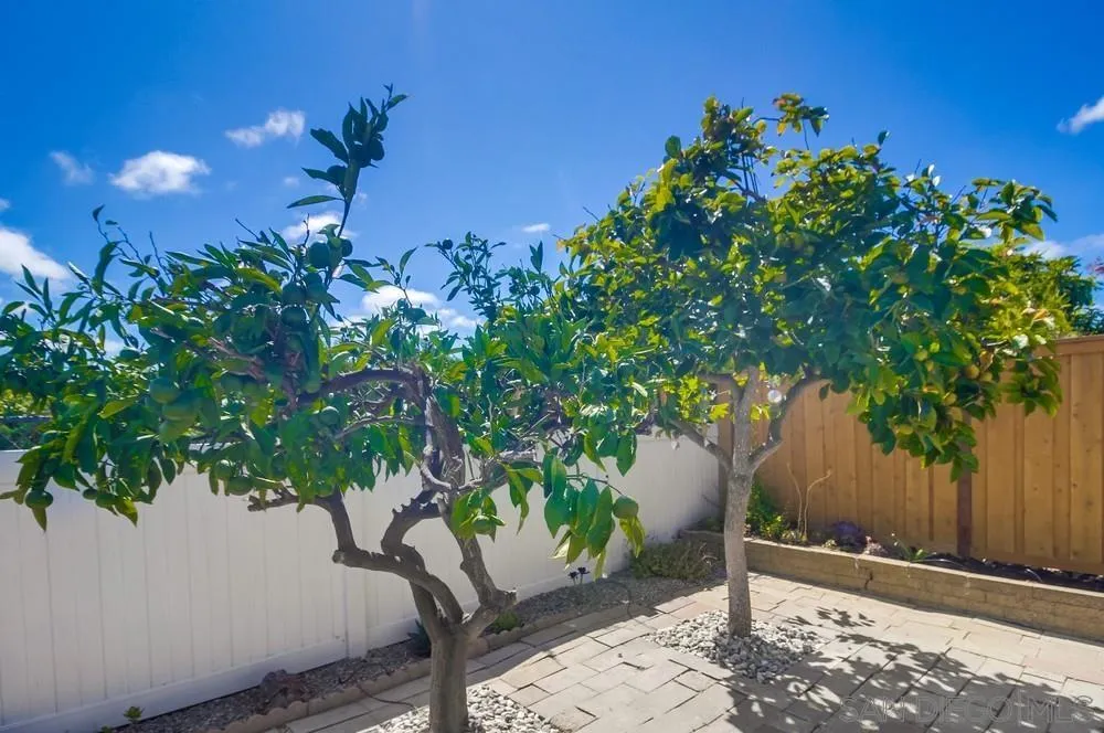 https://cdn.realtyfeed.com/cdn/127/250039688/7eb7071a6bb67f7d84e6cb38e2f7b513.webp