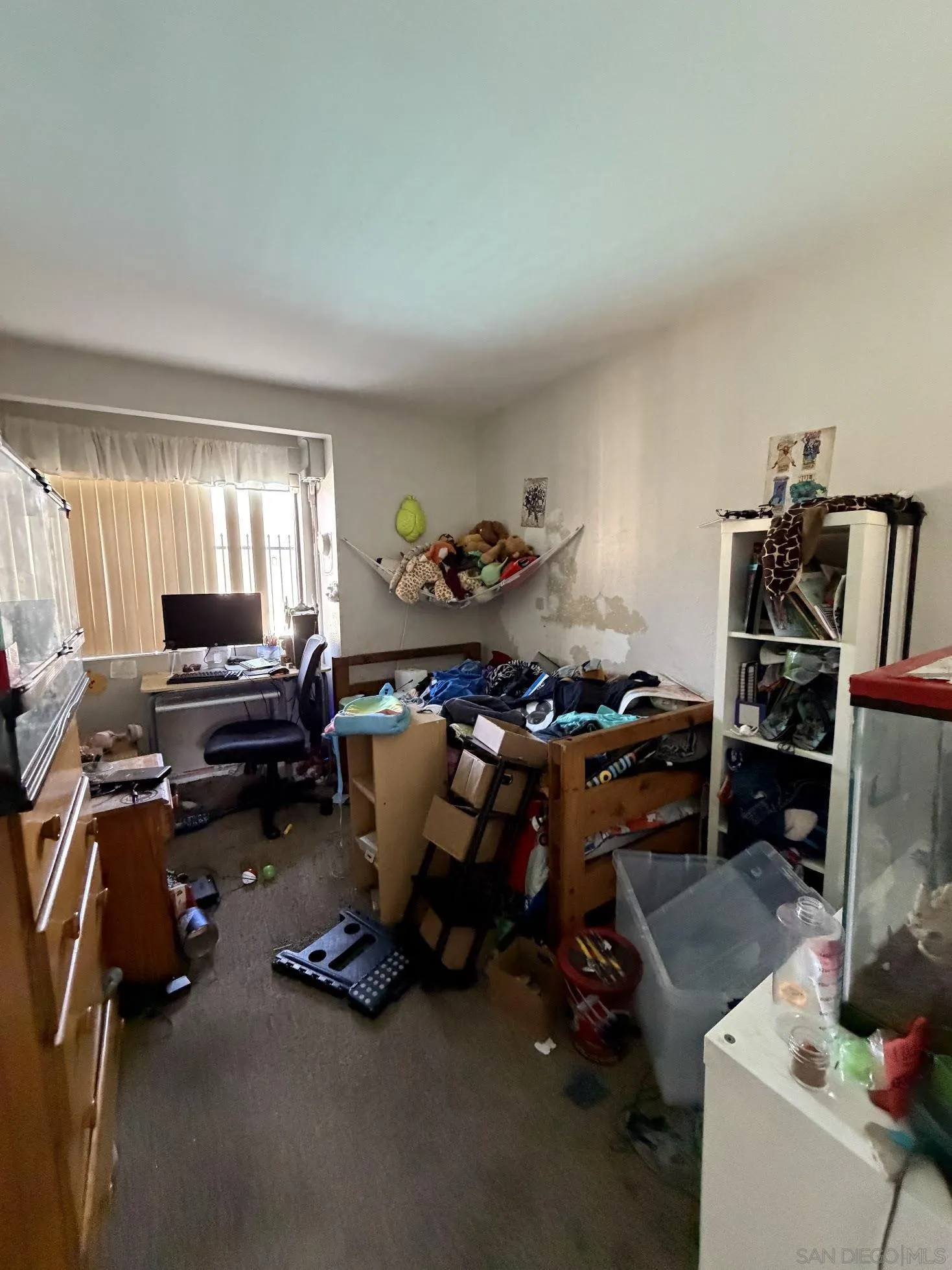 Photo #5: 250039699 Listing 