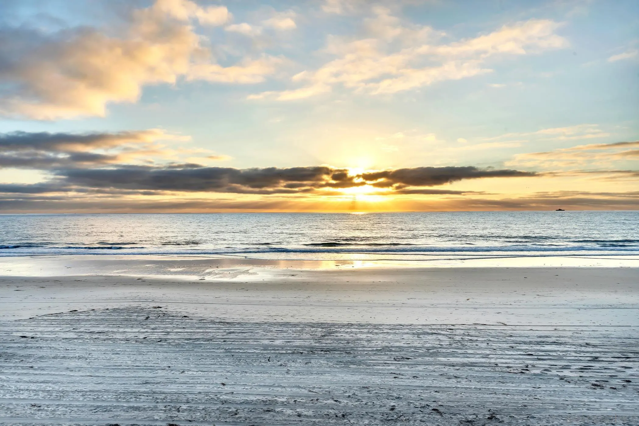 Photo #8: 250039817 Listing: Photo #8