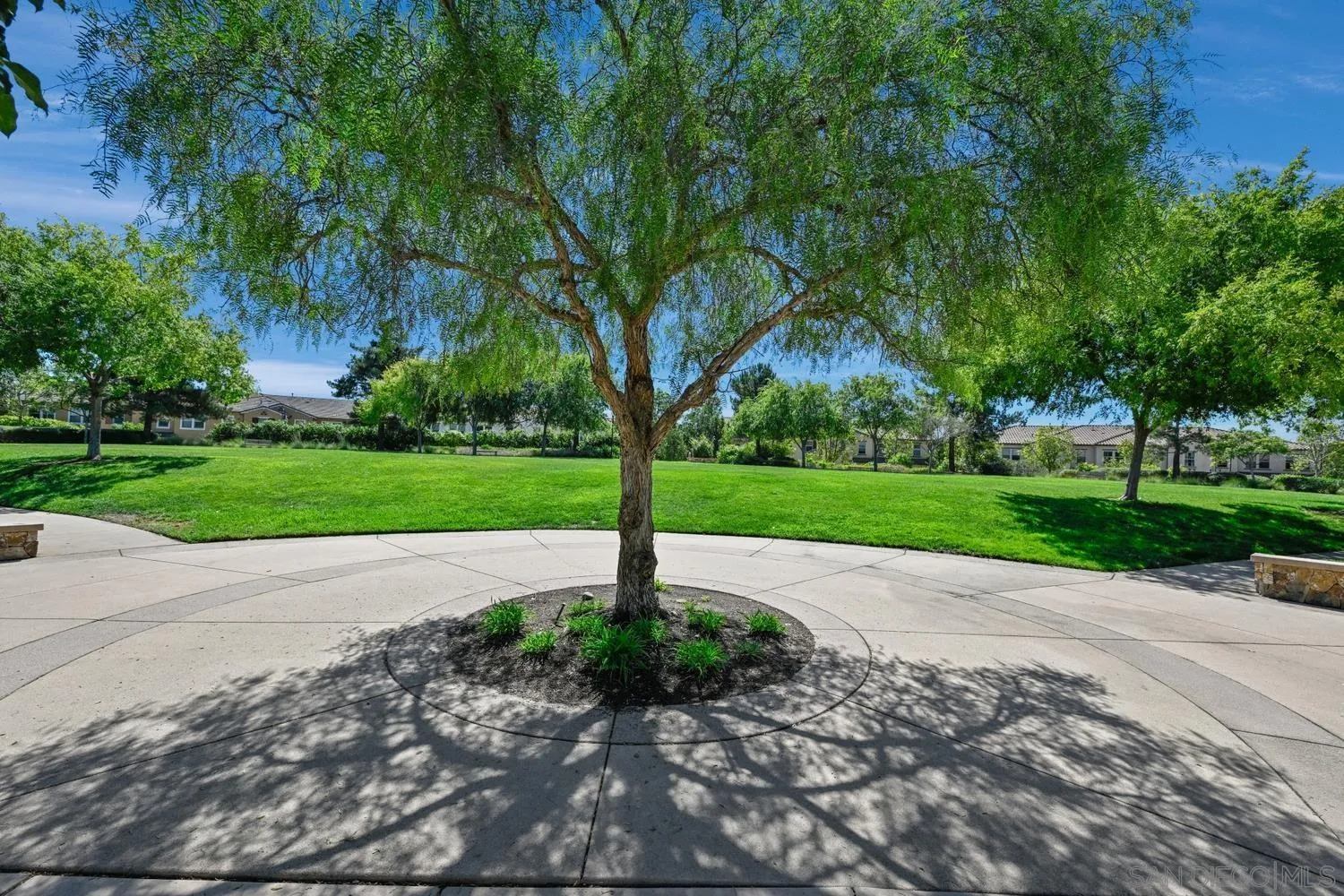 Photo #37: 250039892 Listing: Photo #37